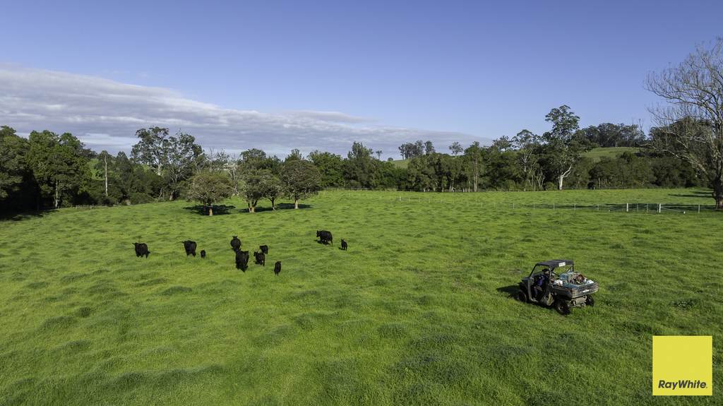 367 Terreel Road, Wards River NSW 2422