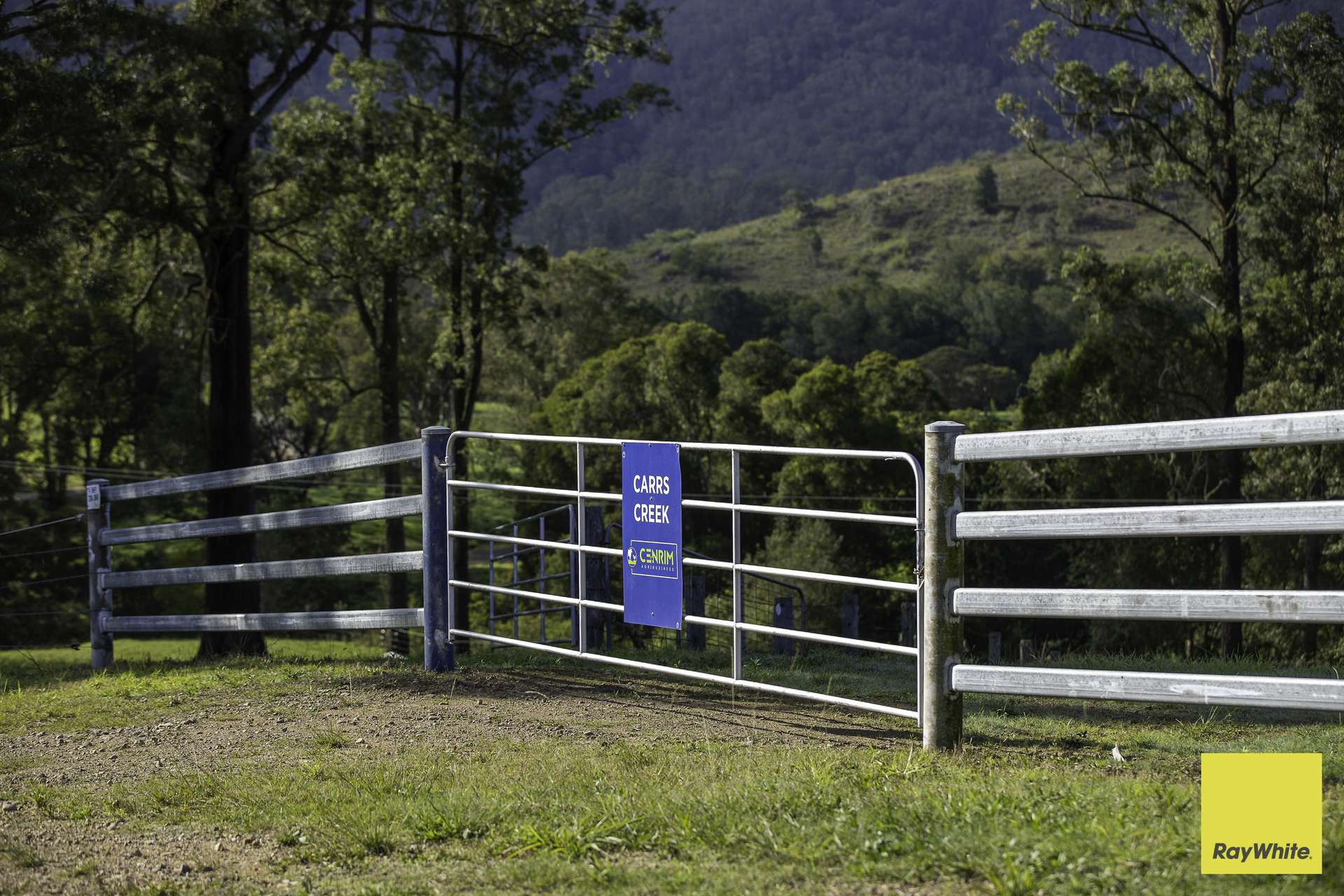 367 Terreel Road, Wards River Auction by Farmbuy.com - image 7