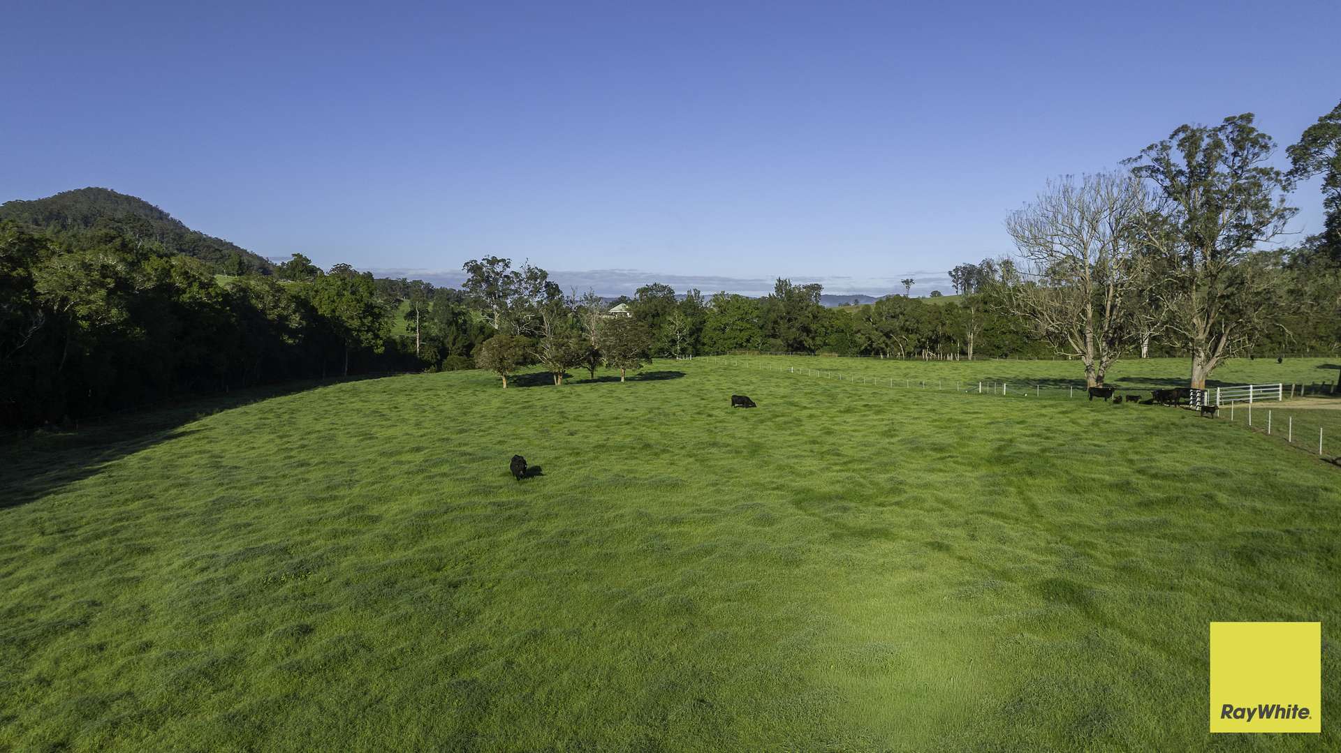 367 Terreel Road, Wards River Auction by Farmbuy.com - image 28