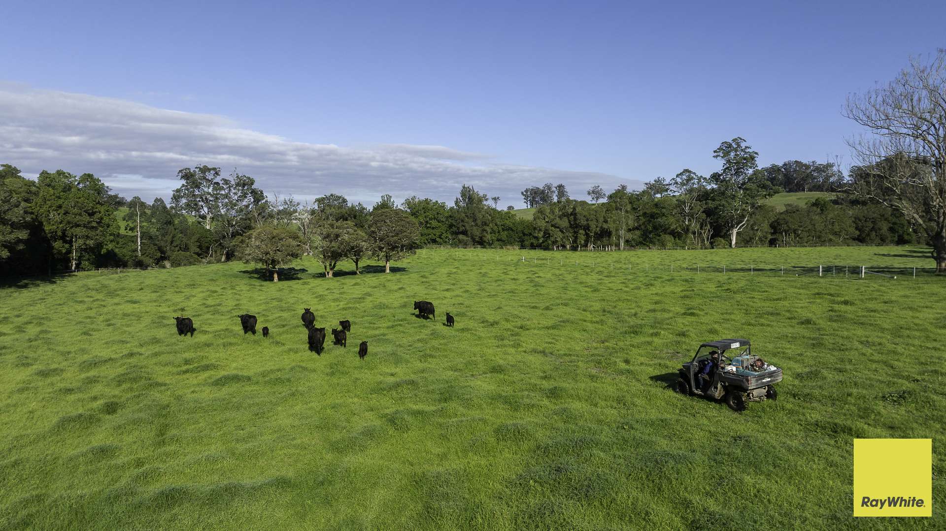 367 Terreel Road, Wards River Auction by Farmbuy.com - image 1