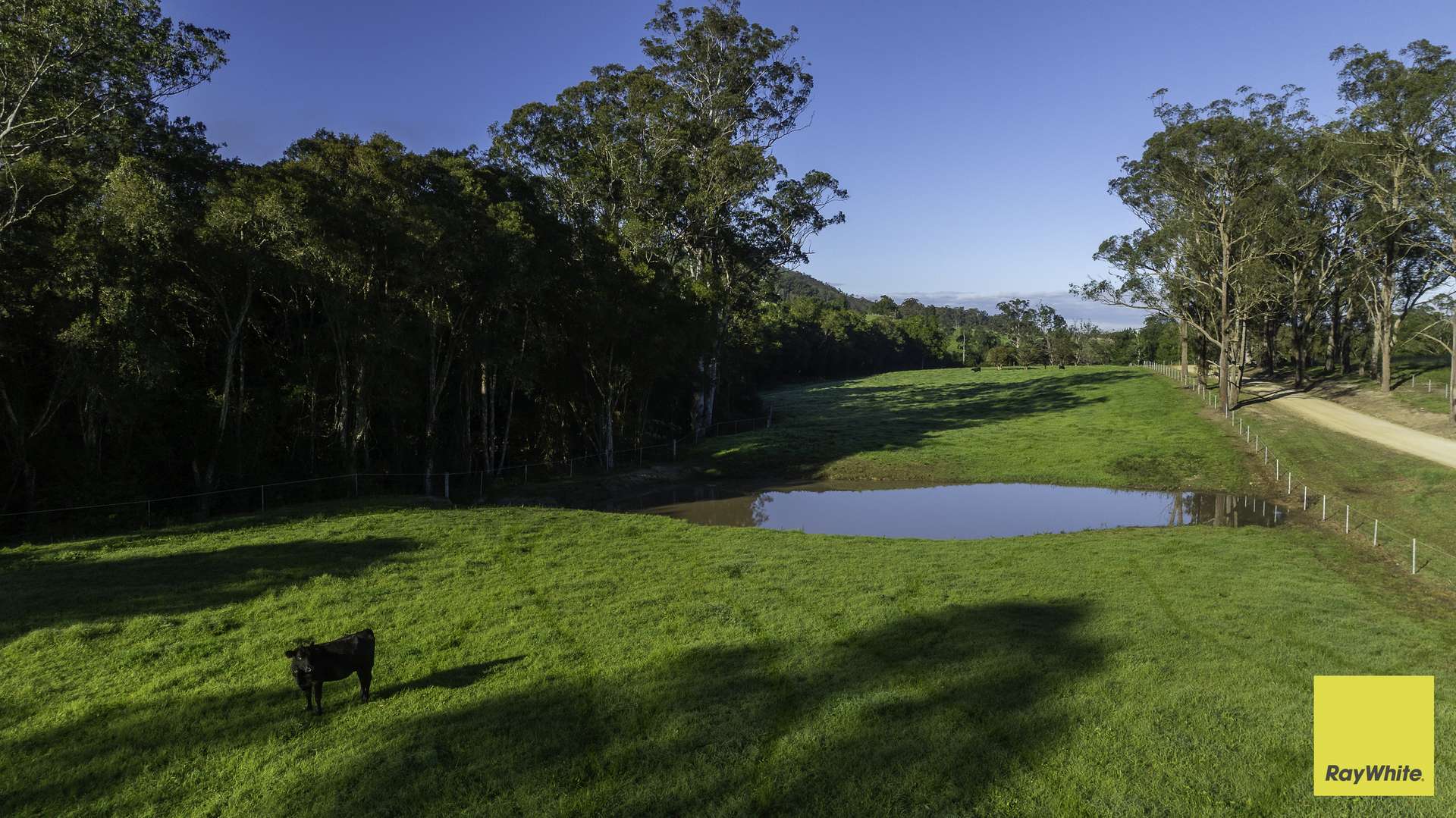 367 Terreel Road, Wards River Auction by Farmbuy.com - image 26