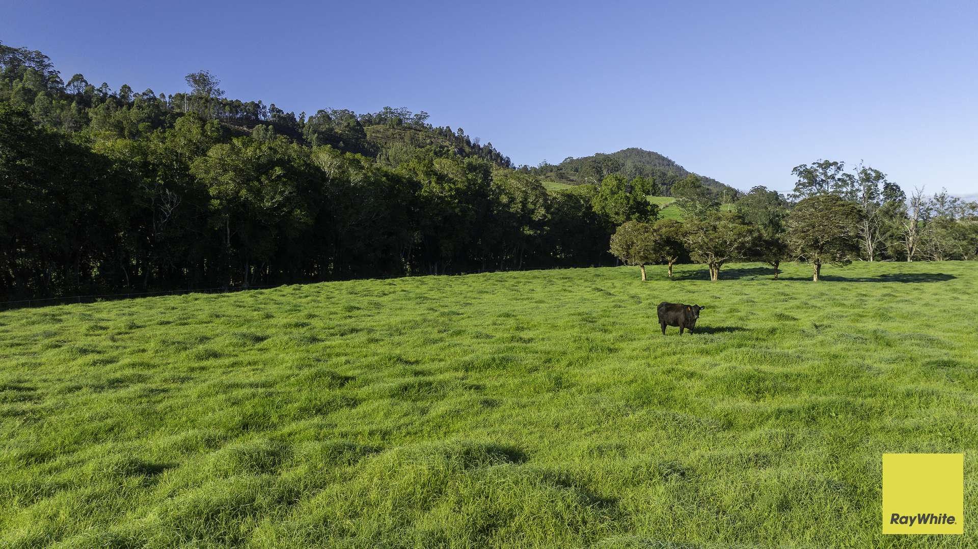 367 Terreel Road, Wards River Auction by Farmbuy.com - image 4