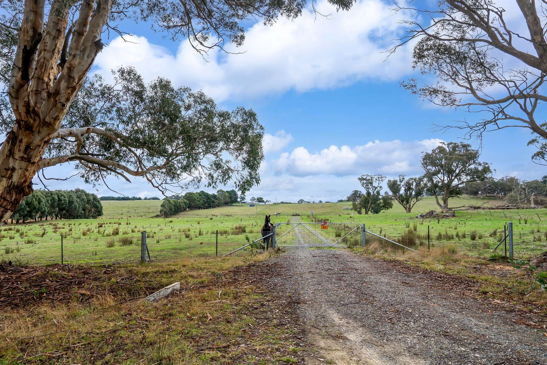 62 Davis Lane, Grabben Gullen For Sale by Farmbuy.com - image 4