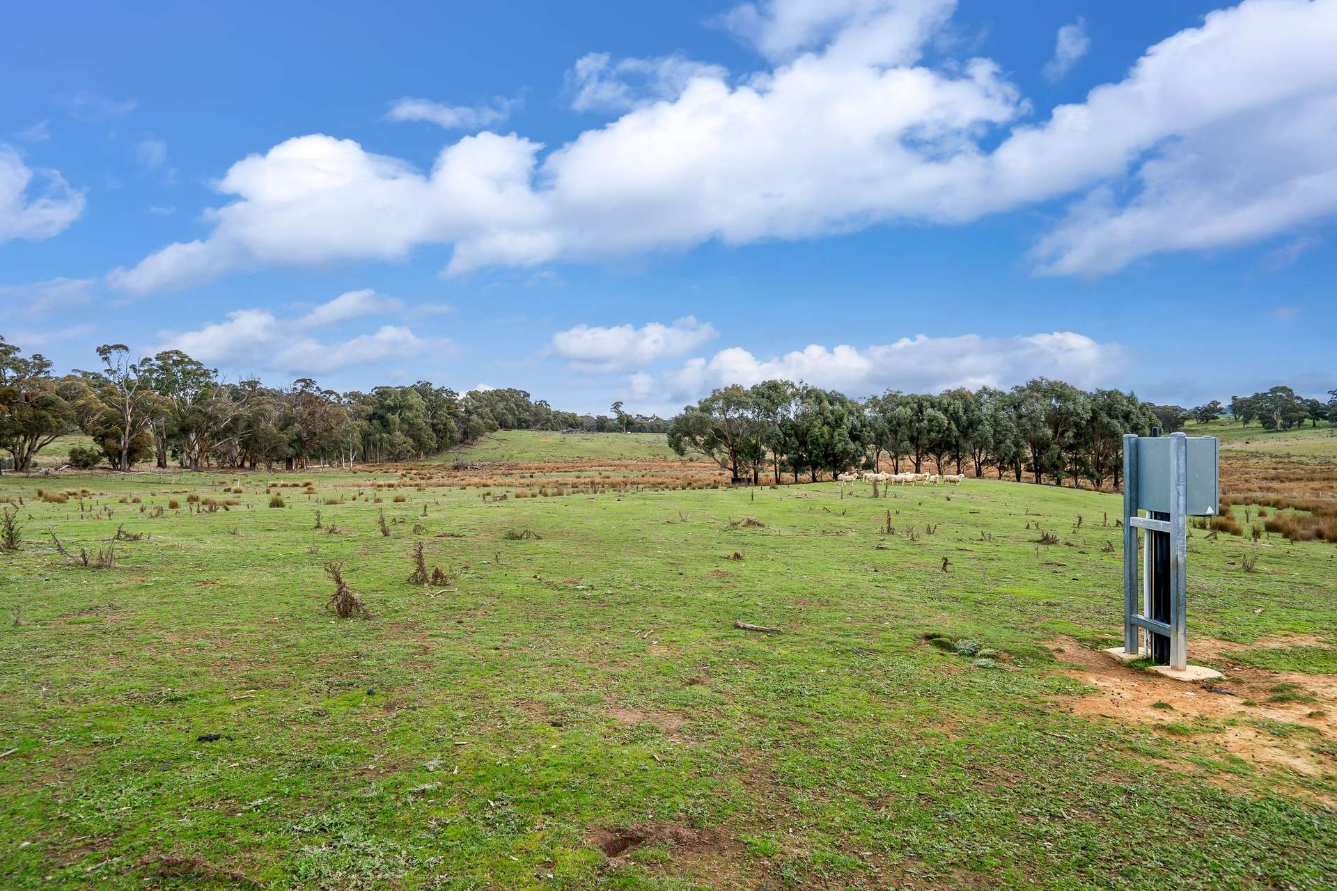62 Davis Lane, Grabben Gullen For Sale by Farmbuy.com - image 5