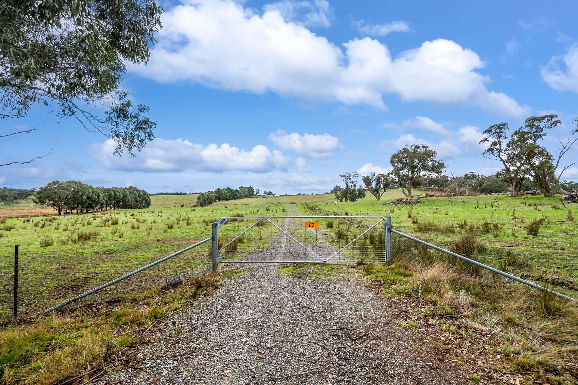 62 Davis Lane, Grabben Gullen For Sale by Farmbuy.com - image 9