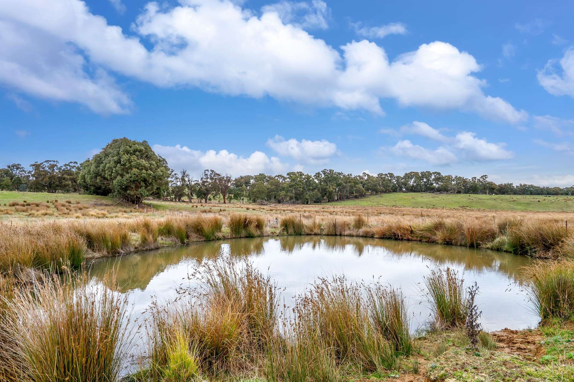 62 Davis Lane, Grabben Gullen For Sale by Farmbuy.com - image 7