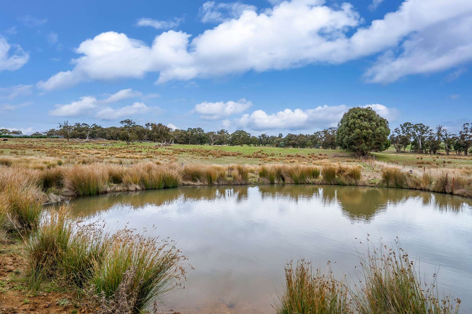 62 Davis Lane, Grabben Gullen For Sale by Farmbuy.com - image 2
