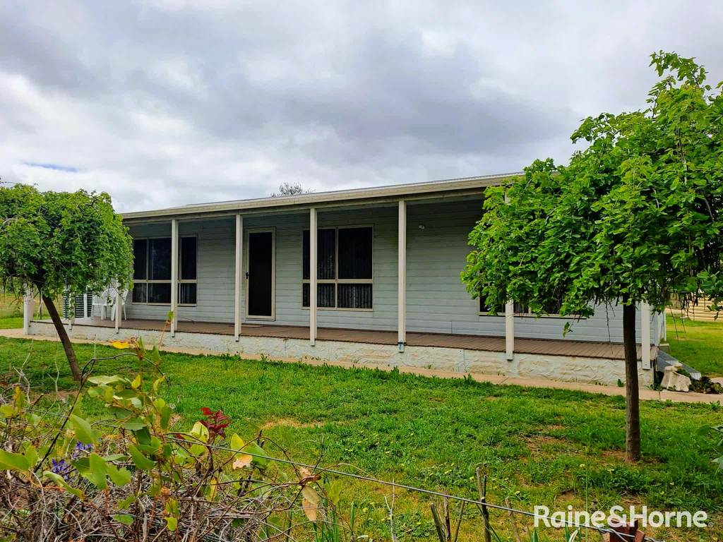202 Pattersons Lane, Young NSW 2594