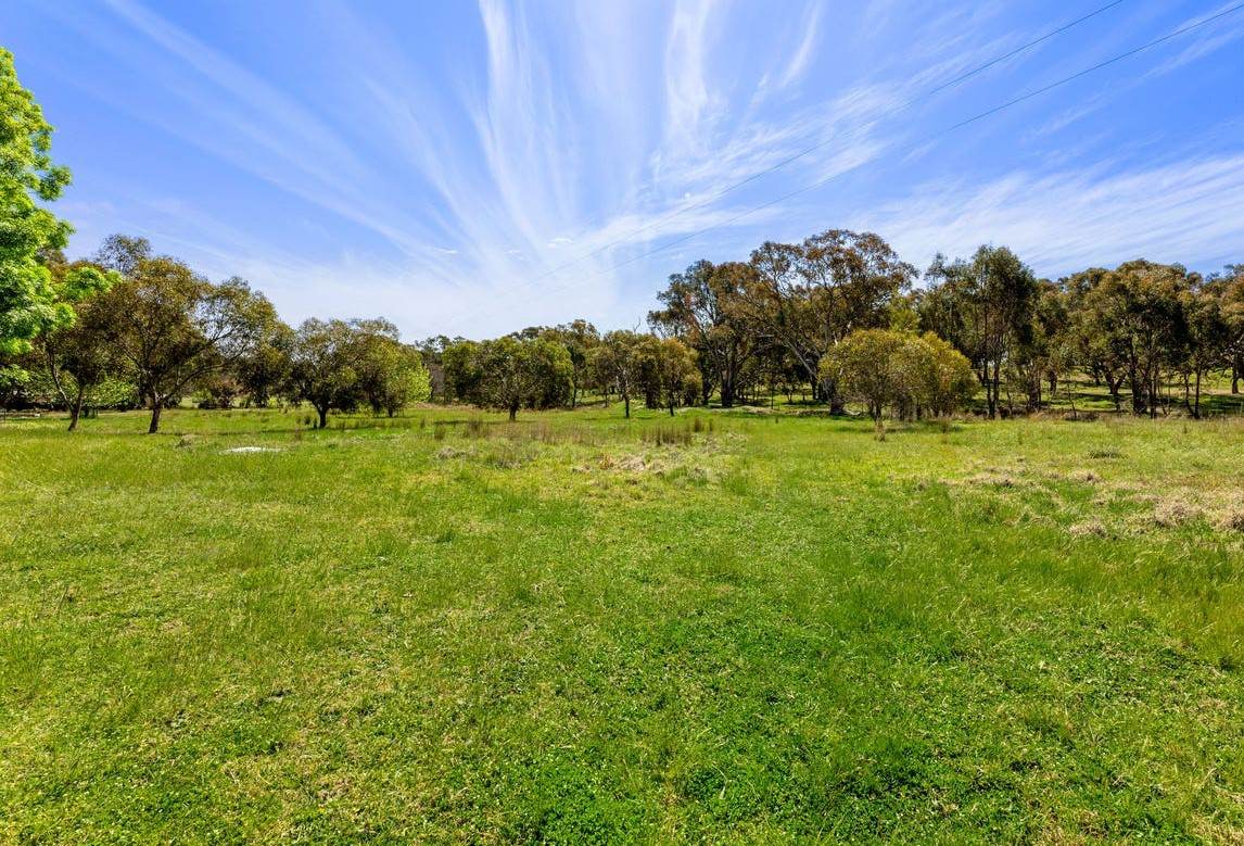 202 Pattersons Lane, Young For Sale by Farmbuy.com - image 17