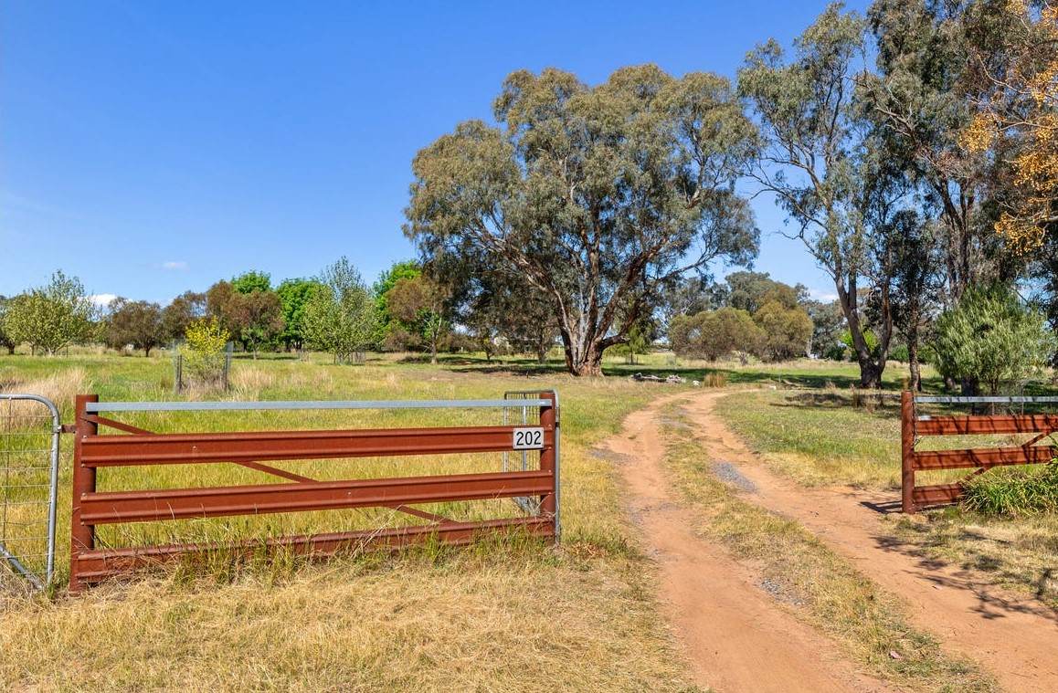 202 Pattersons Lane, Young For Sale by Farmbuy.com - image 16