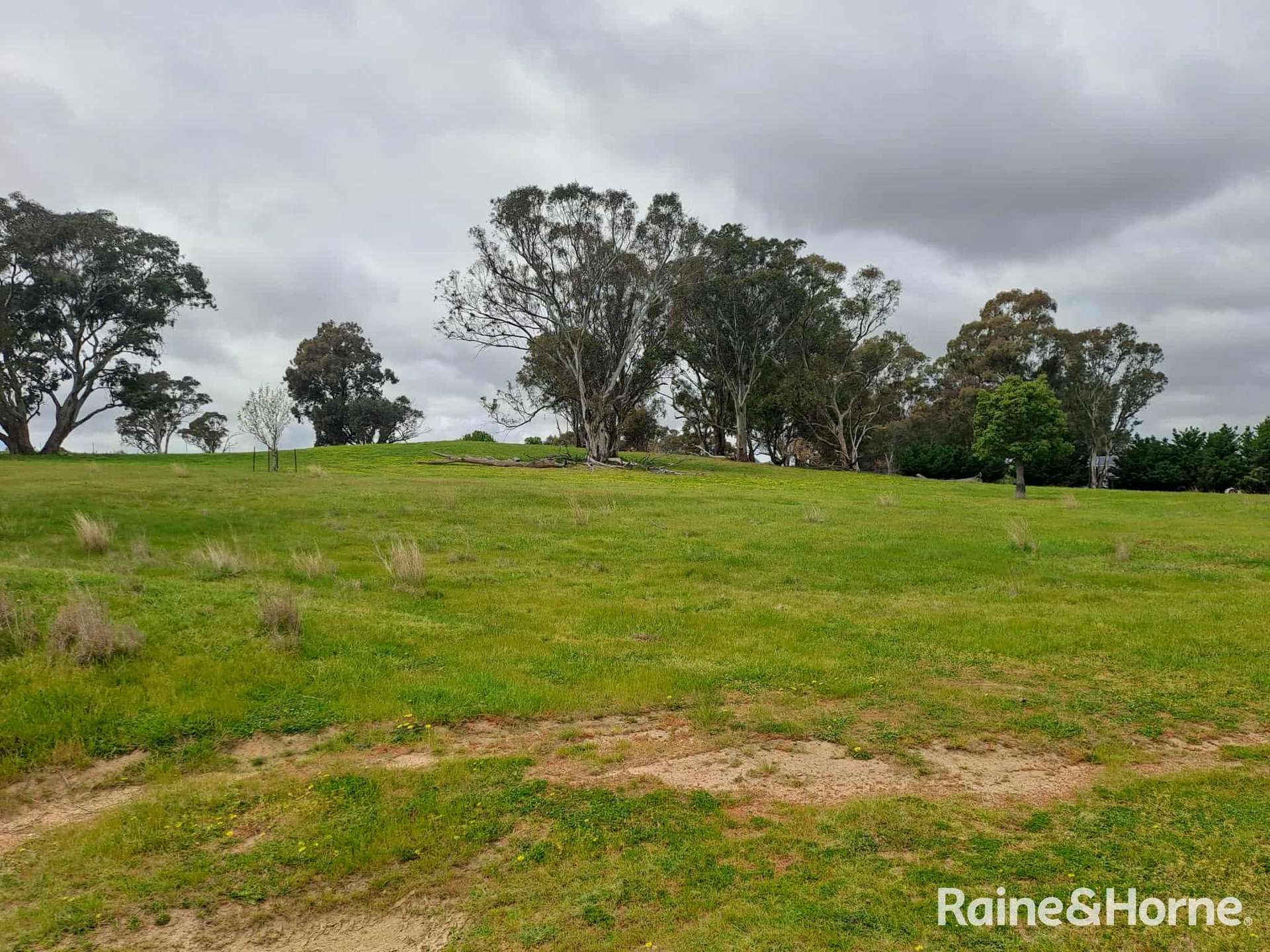 202 Pattersons Lane, Young For Sale by Farmbuy.com - image 6