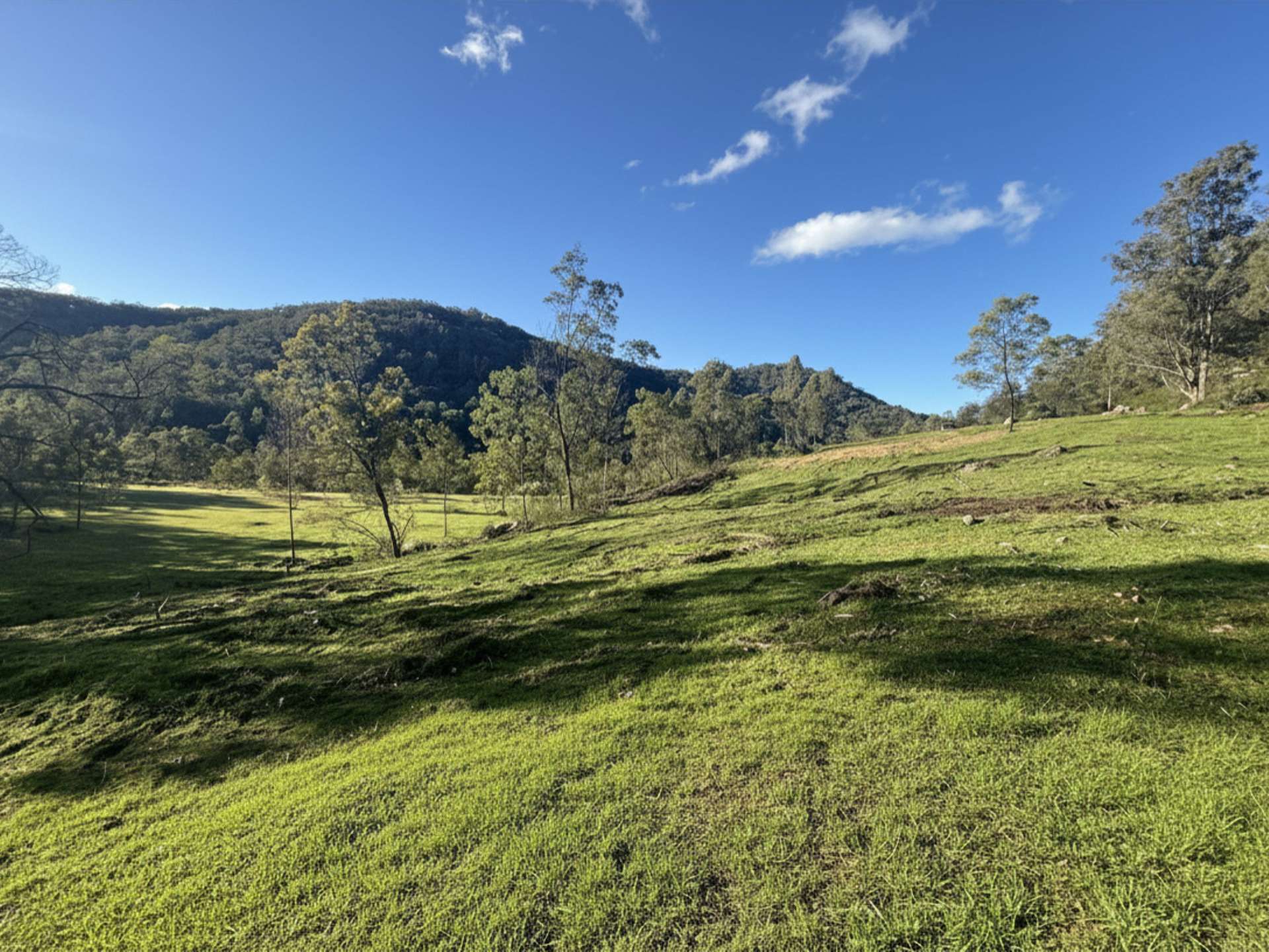 256 Olney Arm Road, Laguna For Sale by Farmbuy.com - image 13