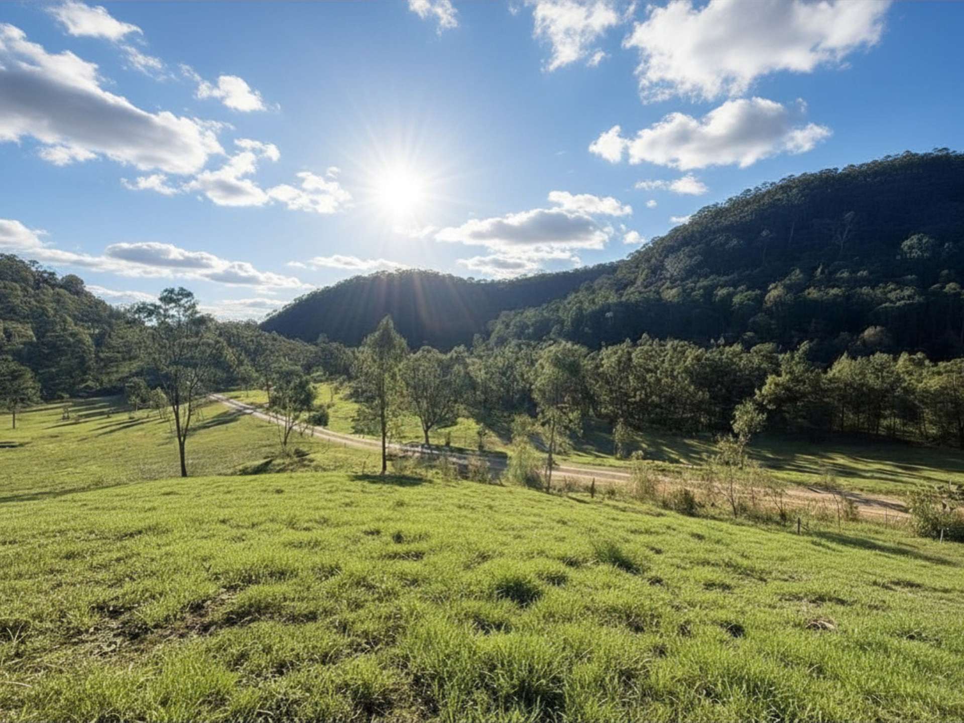 256 Olney Arm Road, Laguna For Sale by Farmbuy.com - image 21