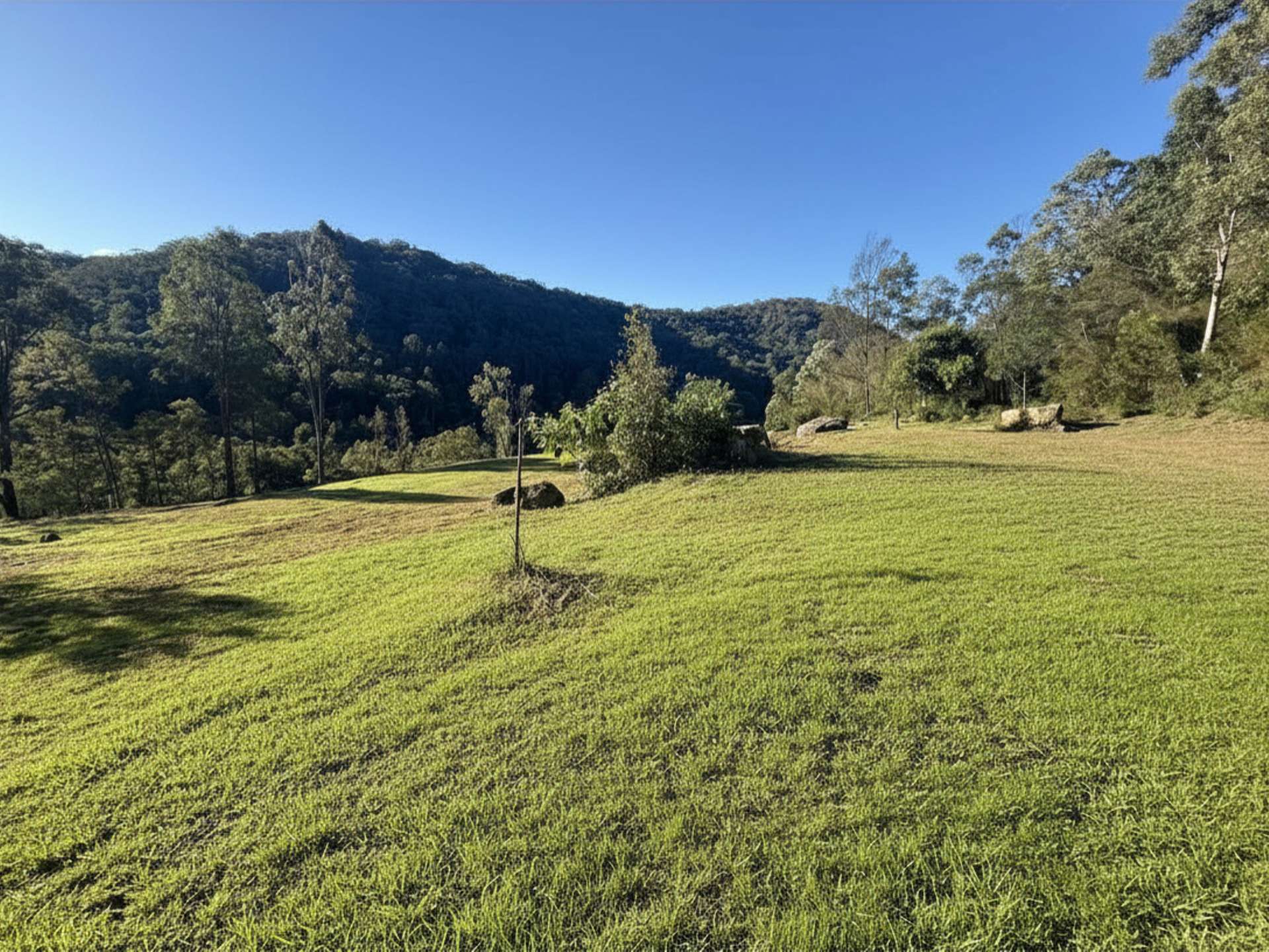256 Olney Arm Road, Laguna For Sale by Farmbuy.com - image 8