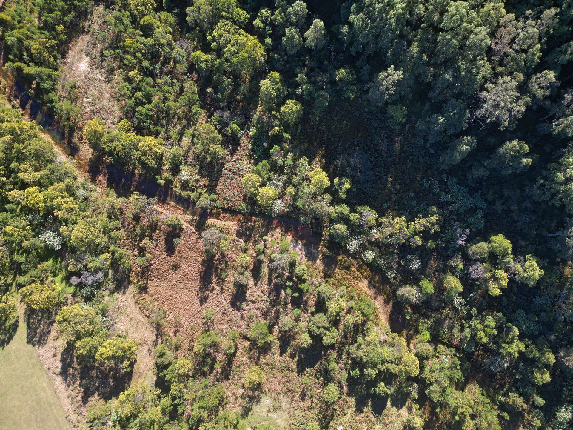256 Olney Arm Road, Laguna For Sale by Farmbuy.com - image 23