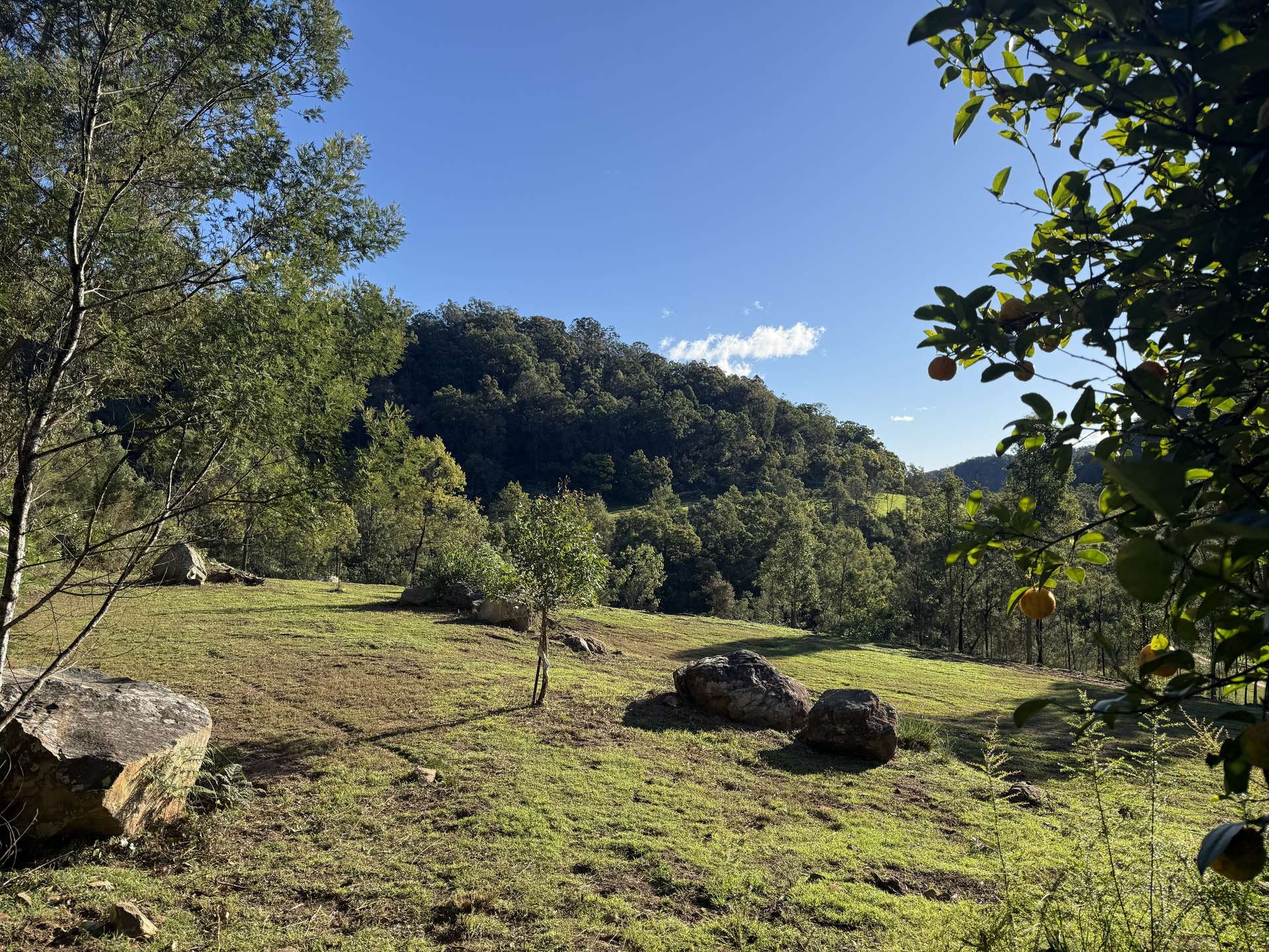 256 Olney Arm Road, Laguna For Sale by Farmbuy.com - image 10
