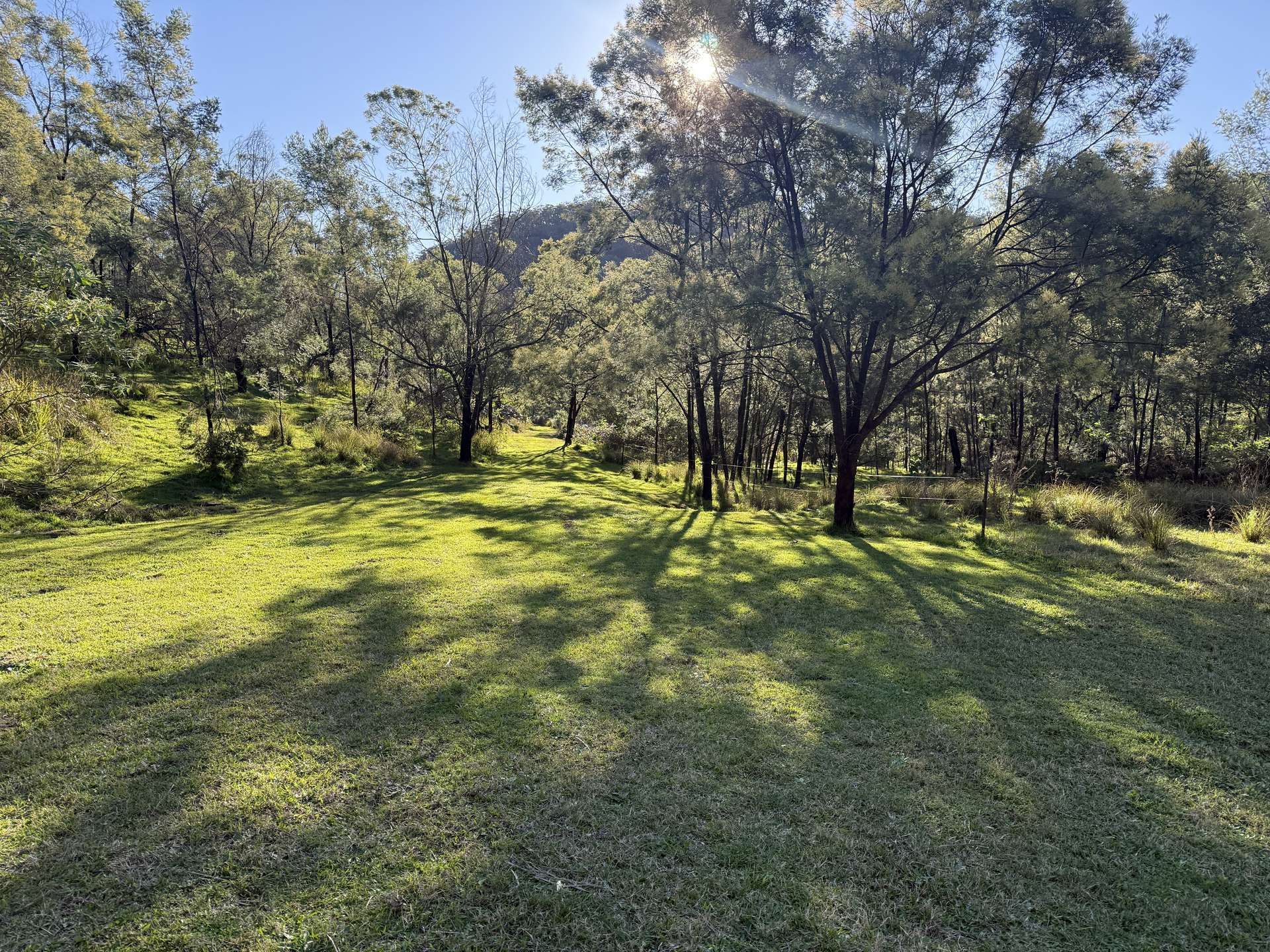 256 Olney Arm Road, Laguna For Sale by Farmbuy.com - image 17