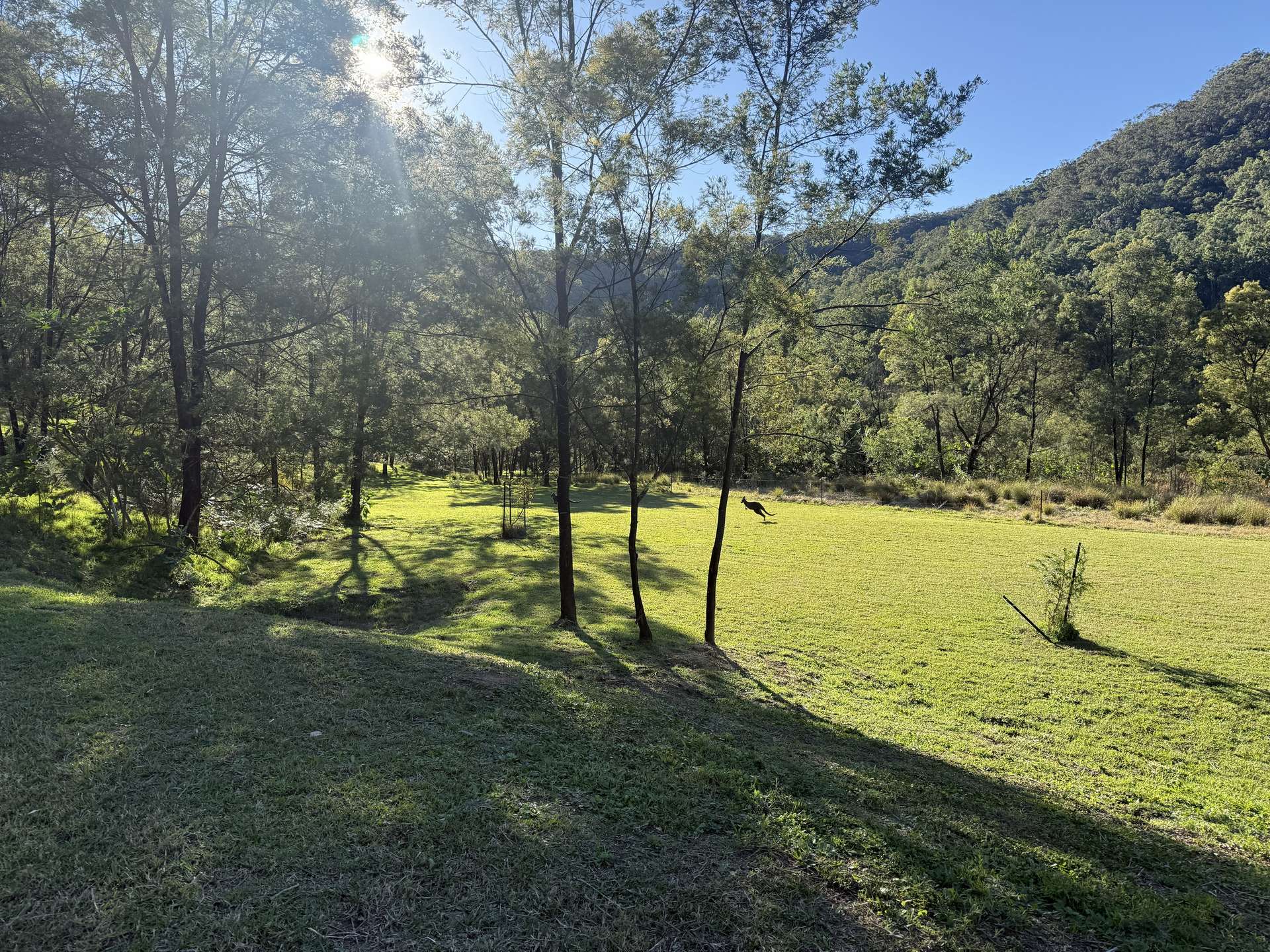 256 Olney Arm Road, Laguna For Sale by Farmbuy.com - image 16