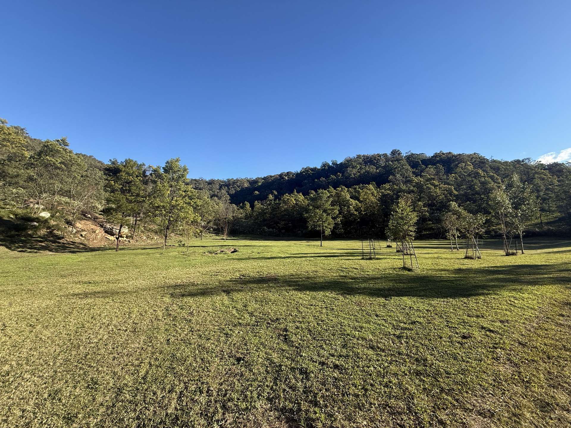 256 Olney Arm Road, Laguna For Sale by Farmbuy.com - image 15