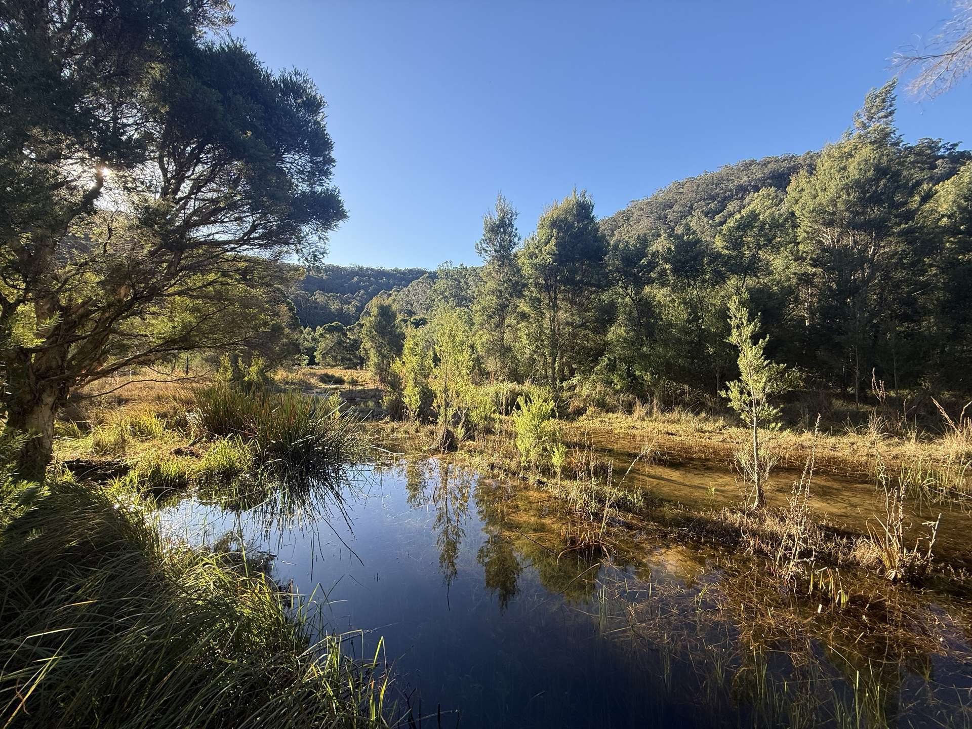 256 Olney Arm Road, Laguna For Sale by Farmbuy.com - image 3