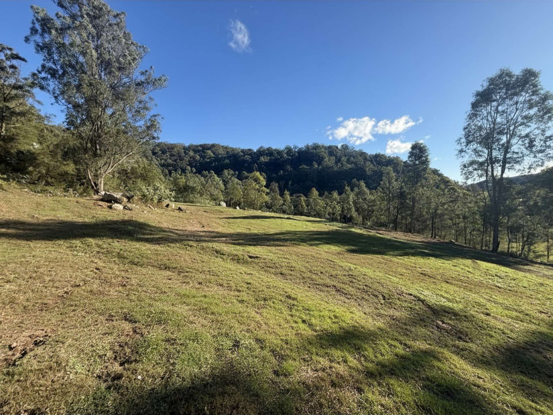 256 Olney Arm Road, Laguna For Sale by Farmbuy.com - image 6