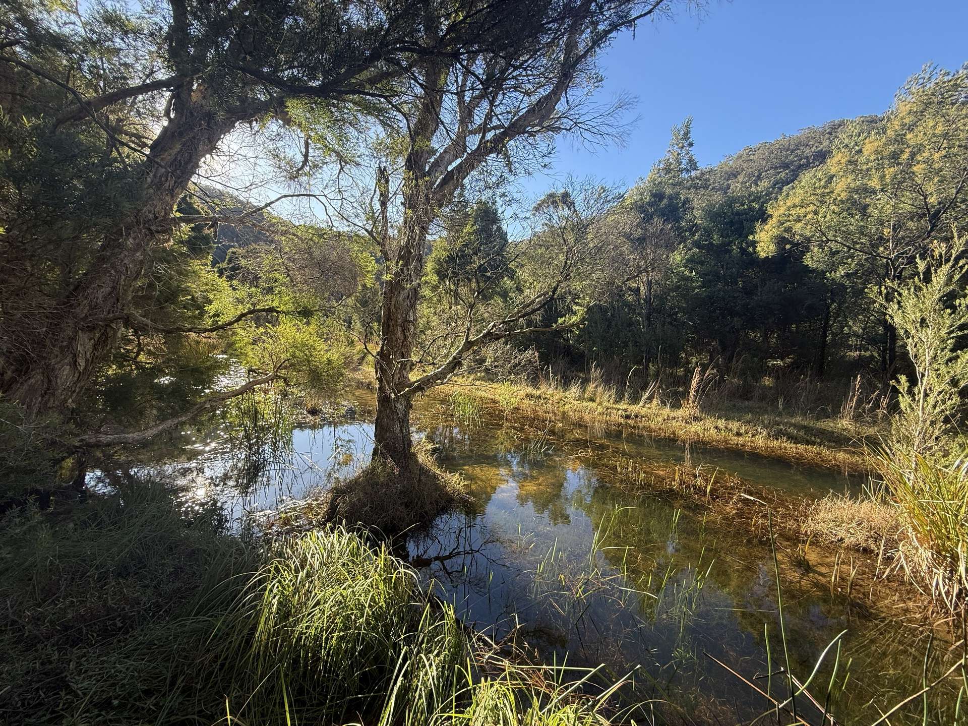 256 Olney Arm Road, Laguna For Sale by Farmbuy.com - image 18
