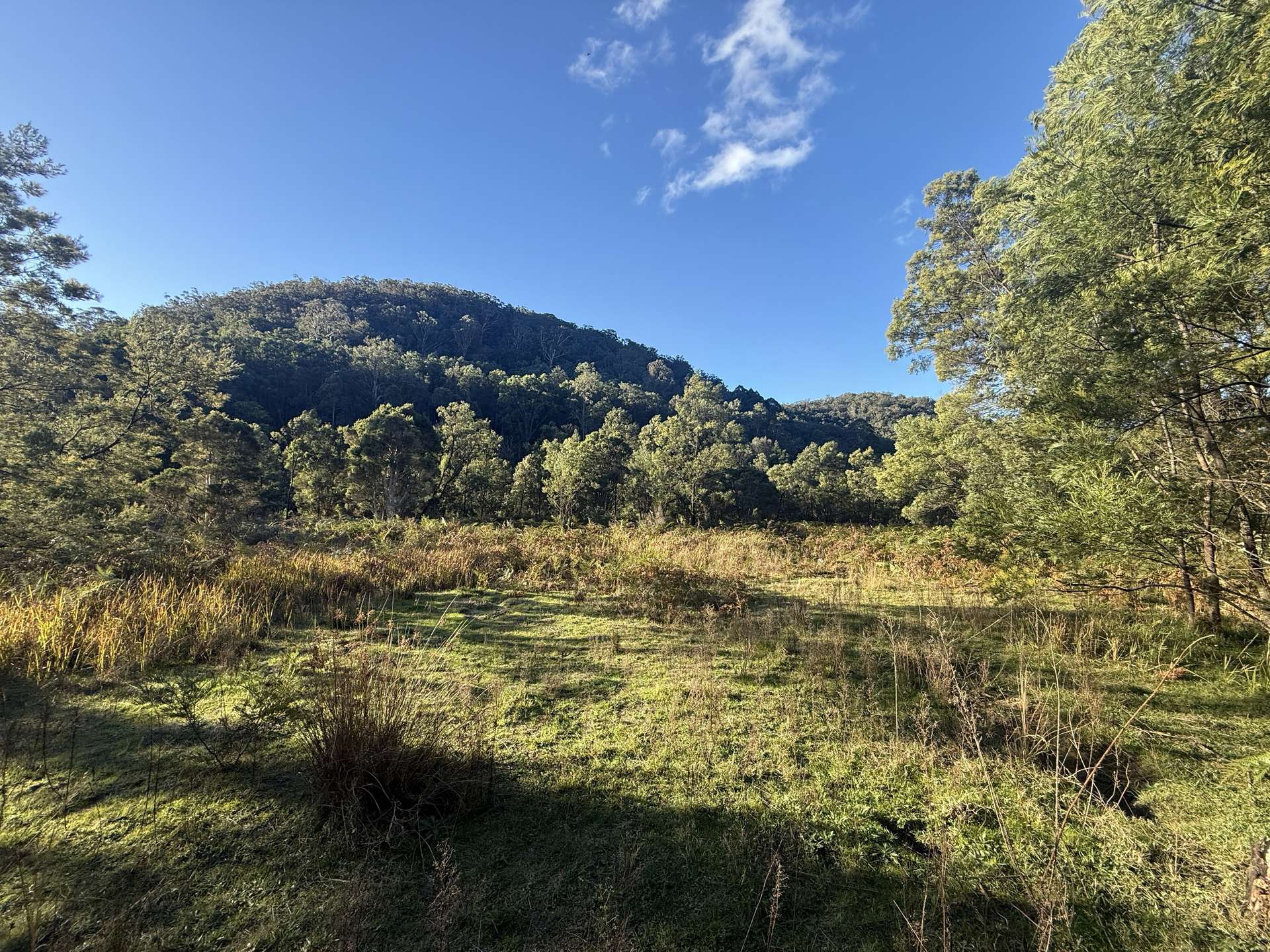 256 Olney Arm Road, Laguna For Sale by Farmbuy.com - image 20
