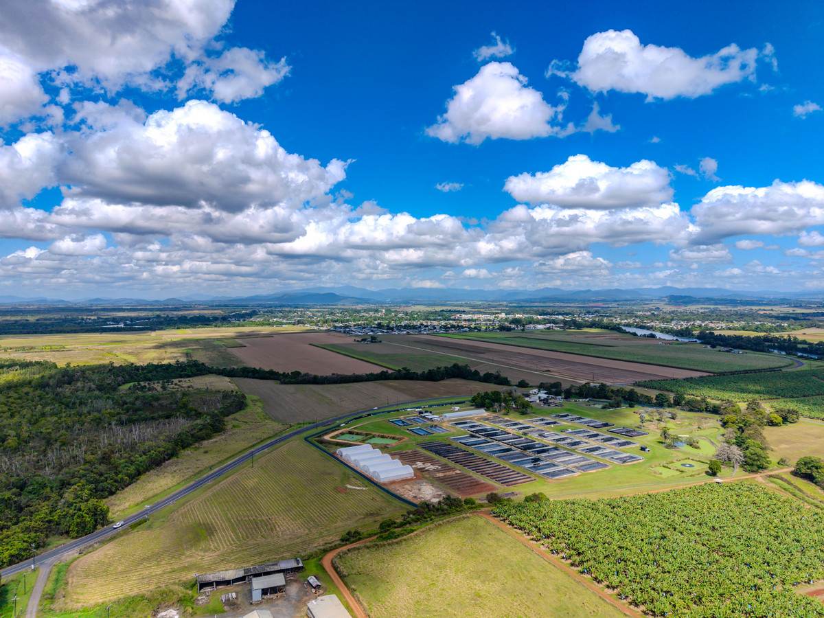 Lot 1,2,3,  Flying Fish Point, Eaton For Sale by Farmbuy.com - image 6