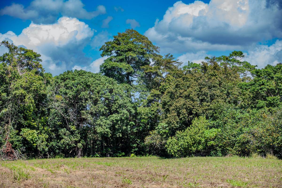 Lot 1,2,3,  Flying Fish Point, Eaton For Sale by Farmbuy.com - image 11