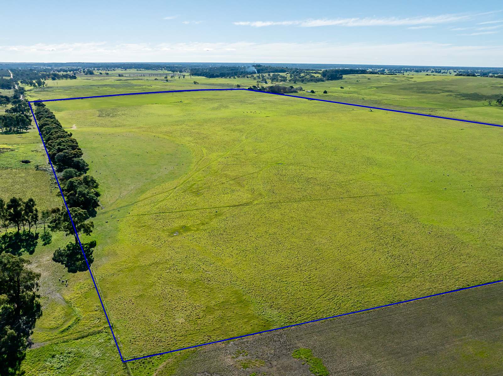 Lot 3 And 4 Old Caves Road, Naracoorte Auction by Farmbuy.com - image 2