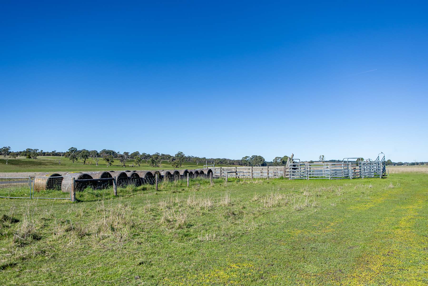 Lot 3 And 4 Old Caves Road, Naracoorte Auction by Farmbuy.com - image 6