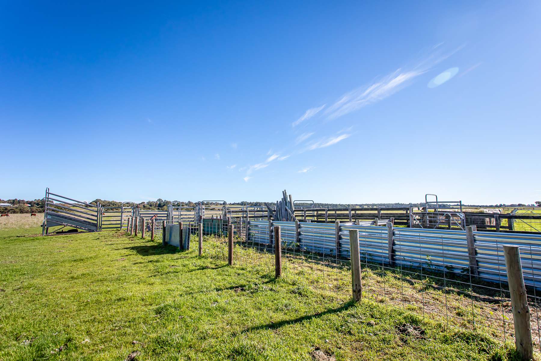 Lot 3 And 4 Old Caves Road, Naracoorte Auction by Farmbuy.com - image 7