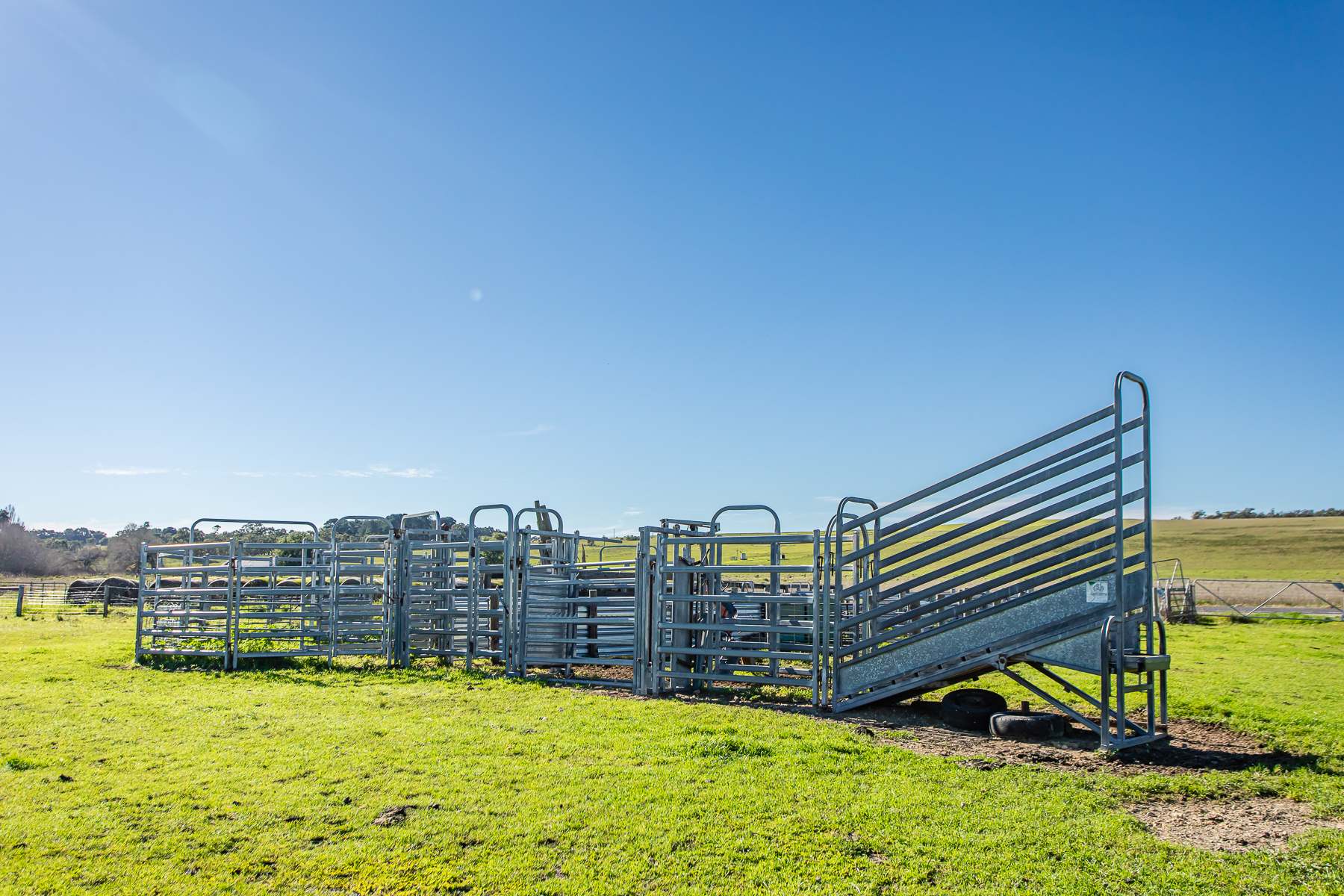 Lot 3 And 4 Old Caves Road, Naracoorte Auction by Farmbuy.com - image 8