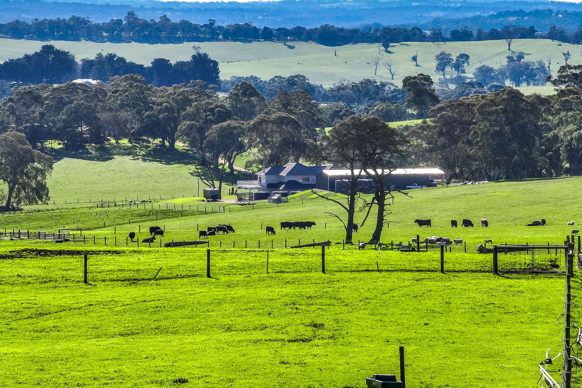 305 Greenhills Road, Green Hills Range For Sale by Farmbuy.com - image 30