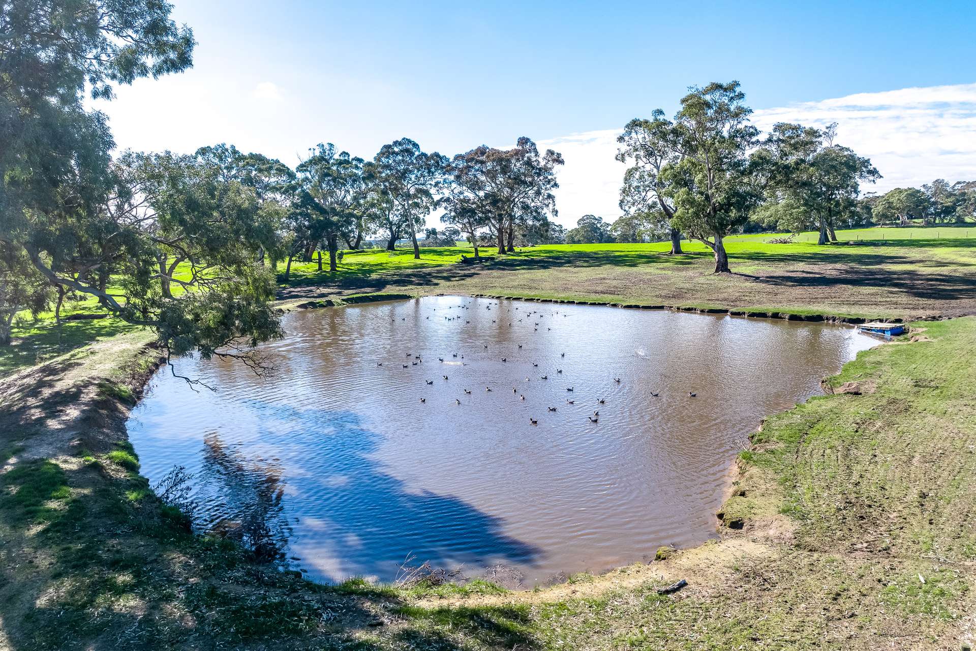 305 Greenhills Road, Green Hills Range For Sale by Farmbuy.com - image 29