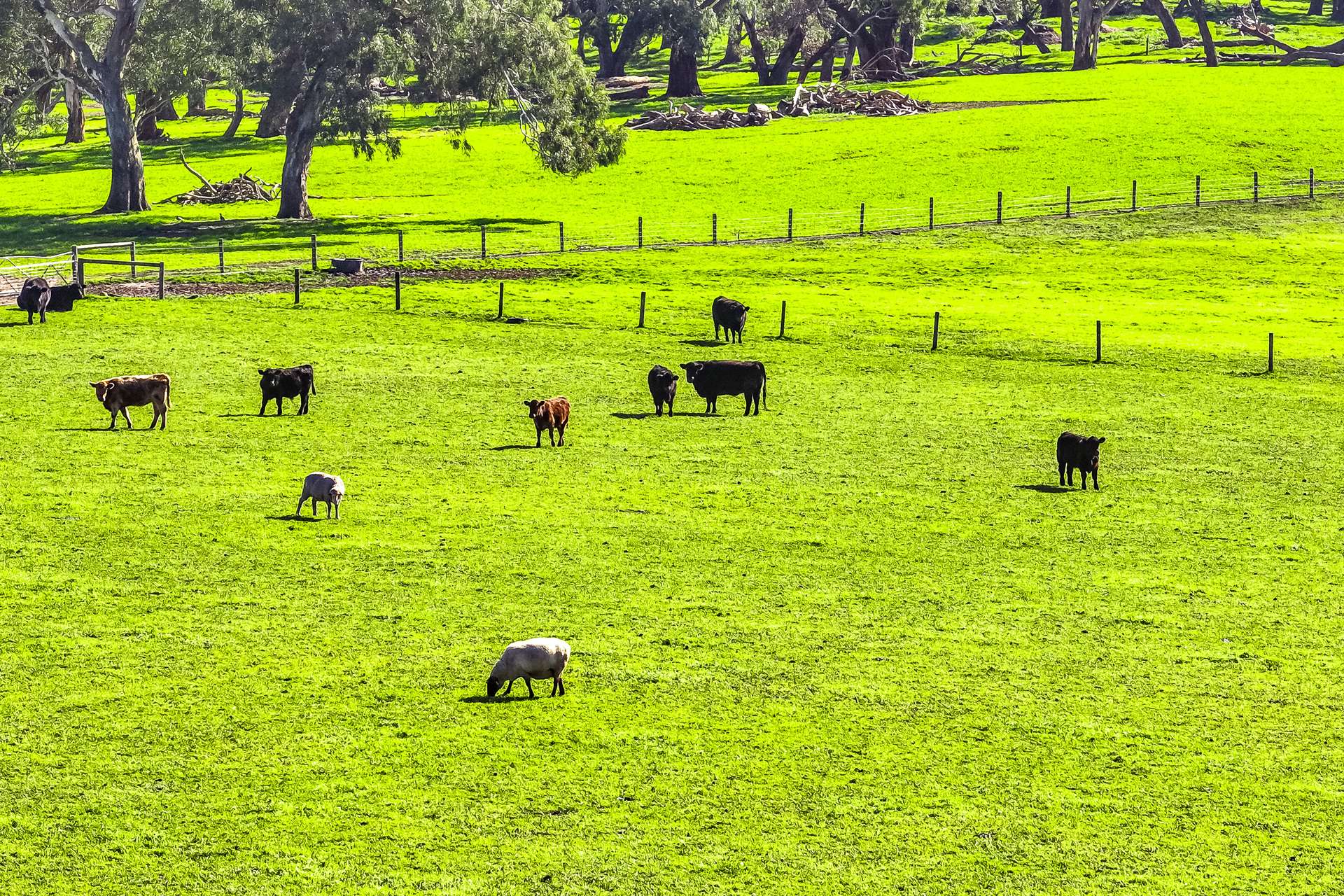 305 Greenhills Road, Green Hills Range For Sale by Farmbuy.com - image 28