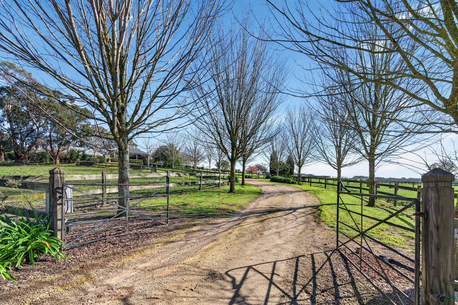 305 Greenhills Road, Green Hills Range For Sale by Farmbuy.com - image 33