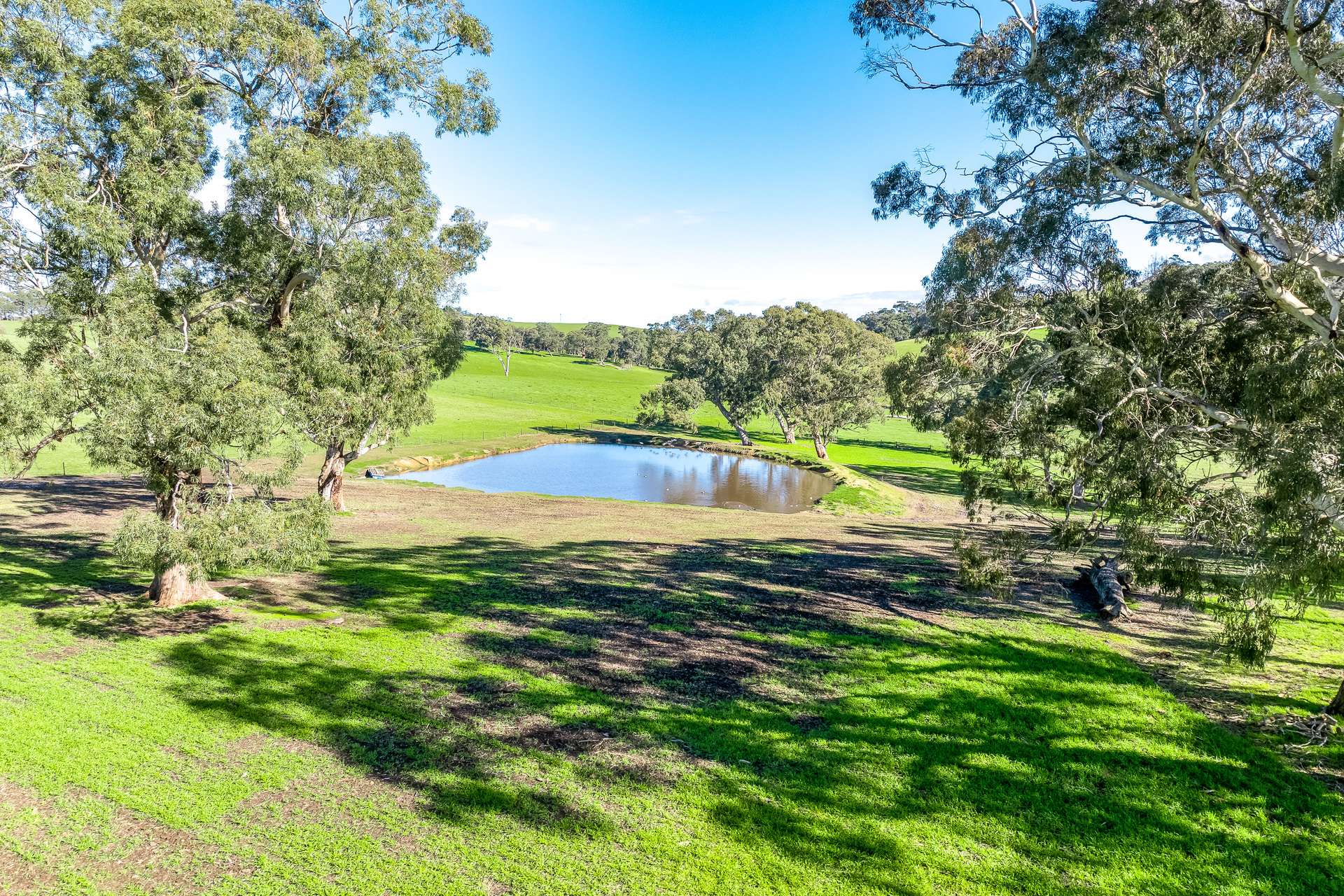 305 Greenhills Road, Green Hills Range For Sale by Farmbuy.com - image 27