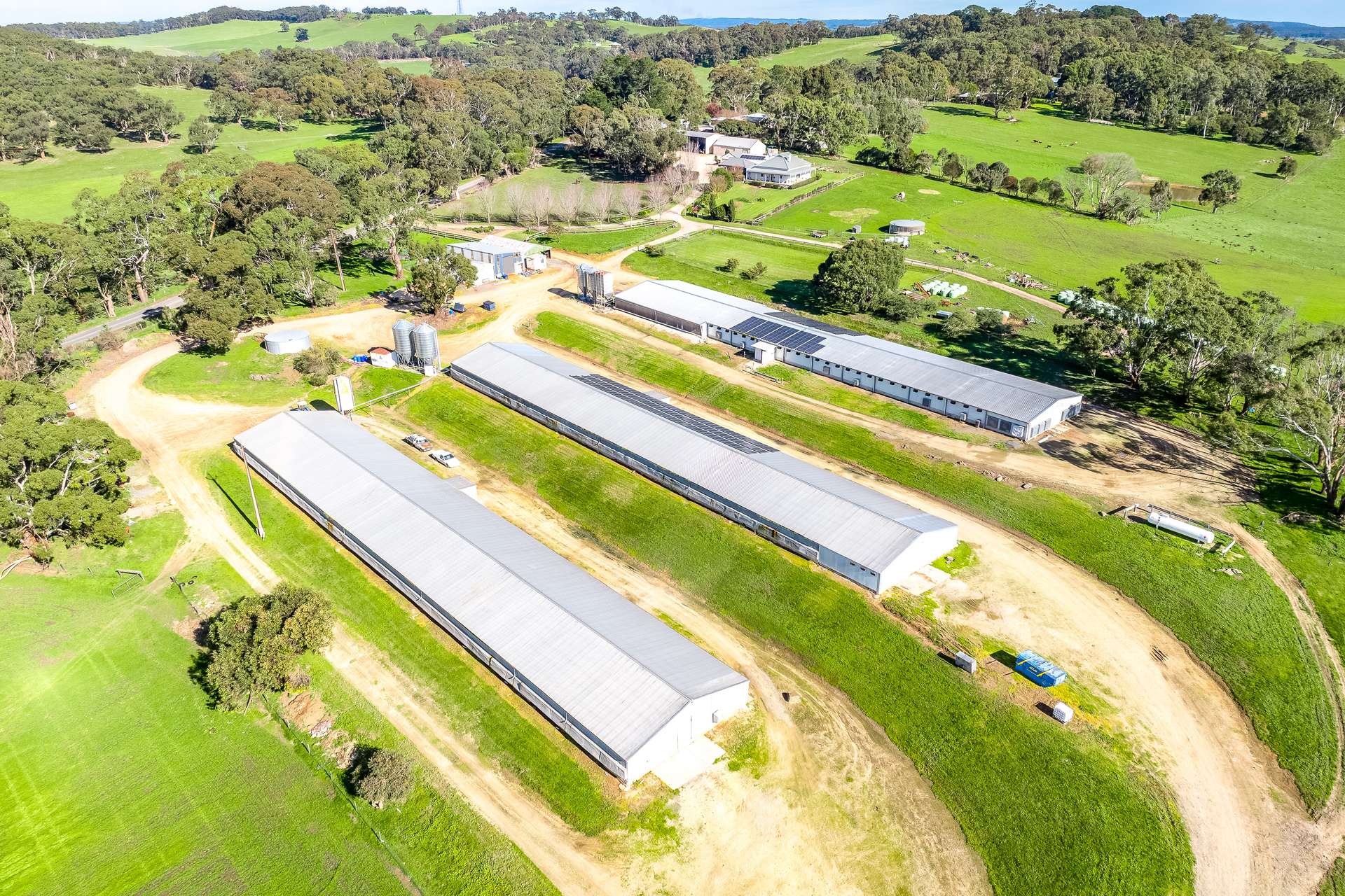 305 Greenhills Road, Green Hills Range For Sale by Farmbuy.com - image 31