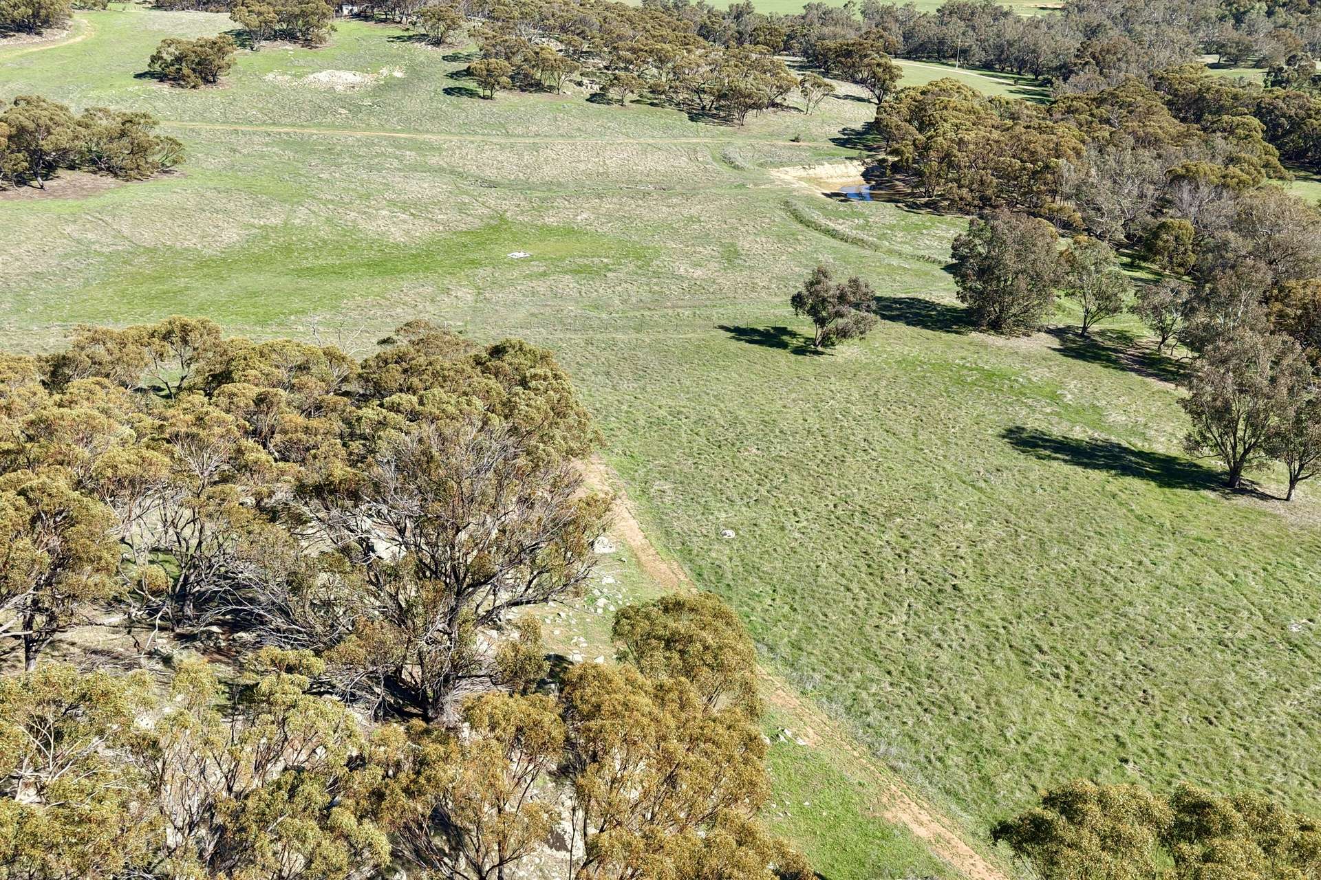 Lot 1,  Old Spencers Road, Mokine For Sale by Farmbuy.com - image 9