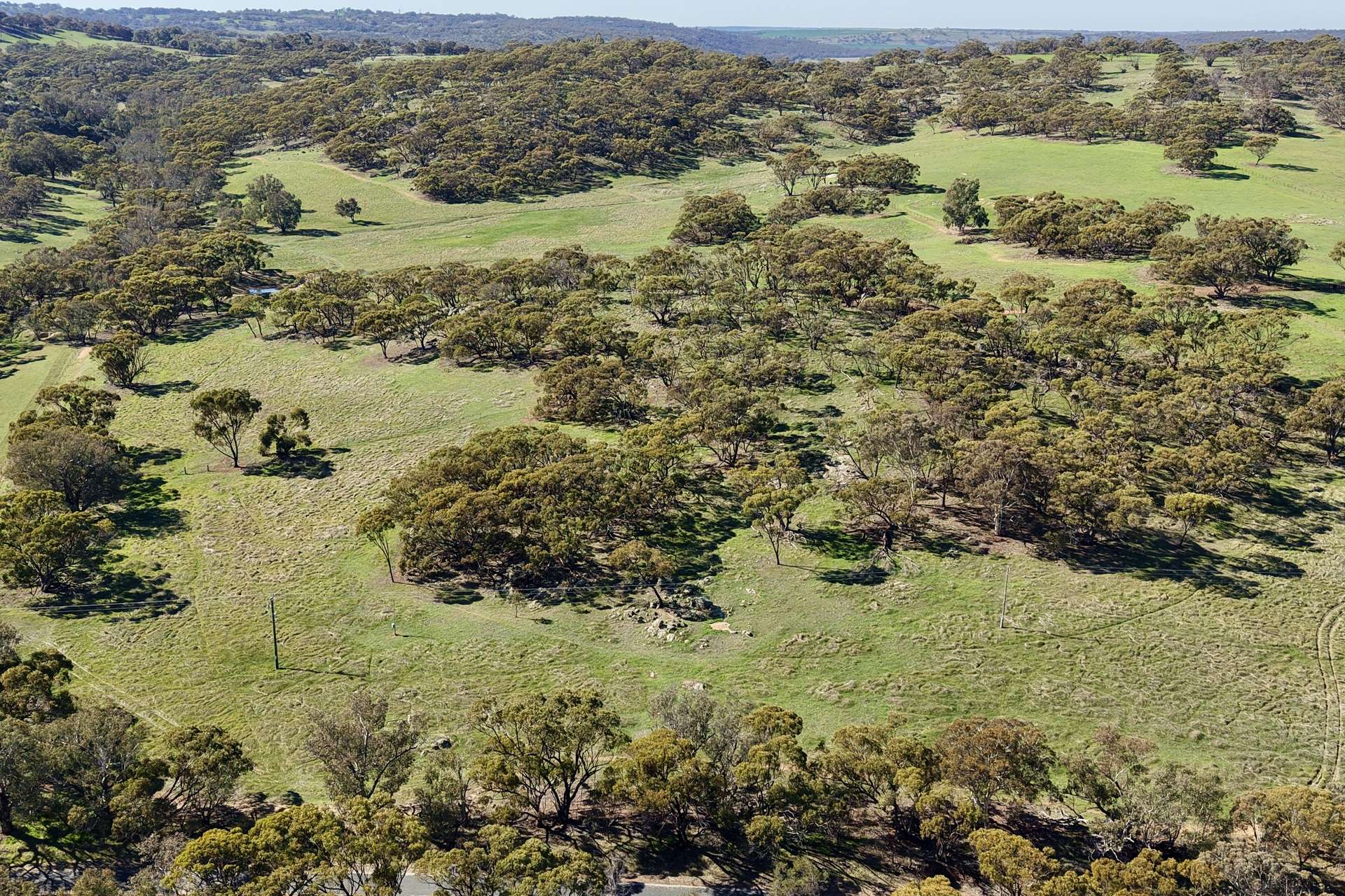 Lot 1,  Old Spencers Road, Mokine For Sale by Farmbuy.com - image 2