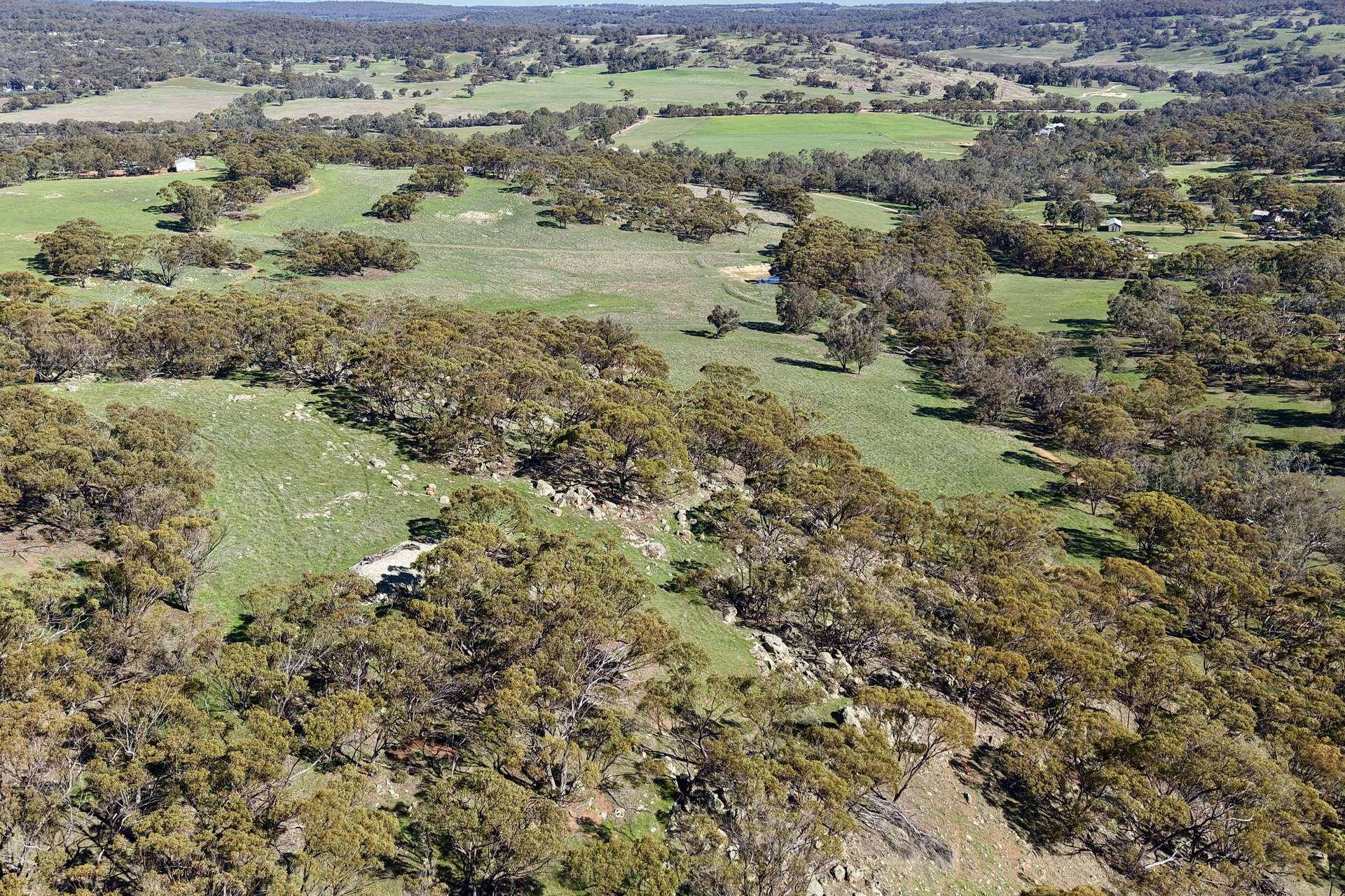 Lot 1,  Old Spencers Road, Mokine For Sale by Farmbuy.com - image 19
