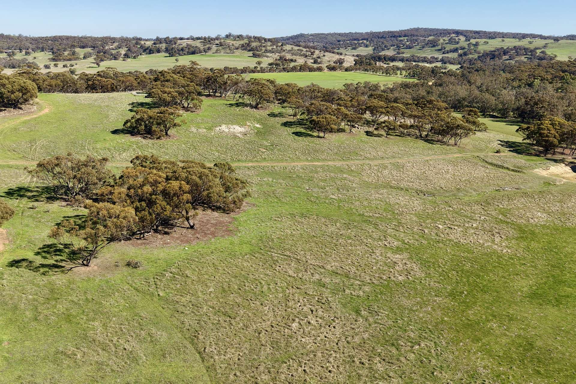 Lot 1,  Old Spencers Road, Mokine For Sale by Farmbuy.com - image 5