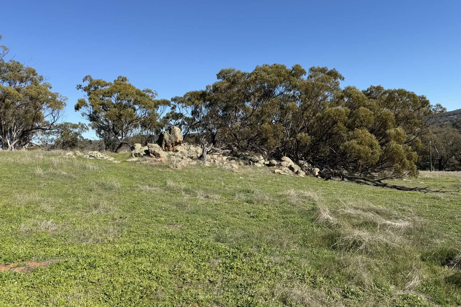 Lot 1,  Old Spencers Road, Mokine For Sale by Farmbuy.com - image 15
