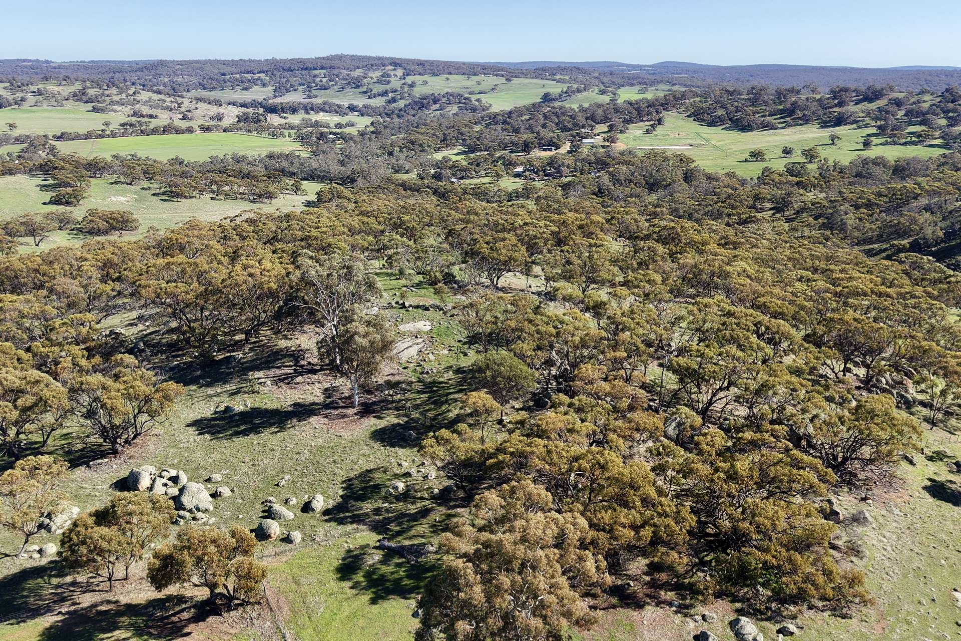 Lot 1,  Old Spencers Road, Mokine For Sale by Farmbuy.com - image 8