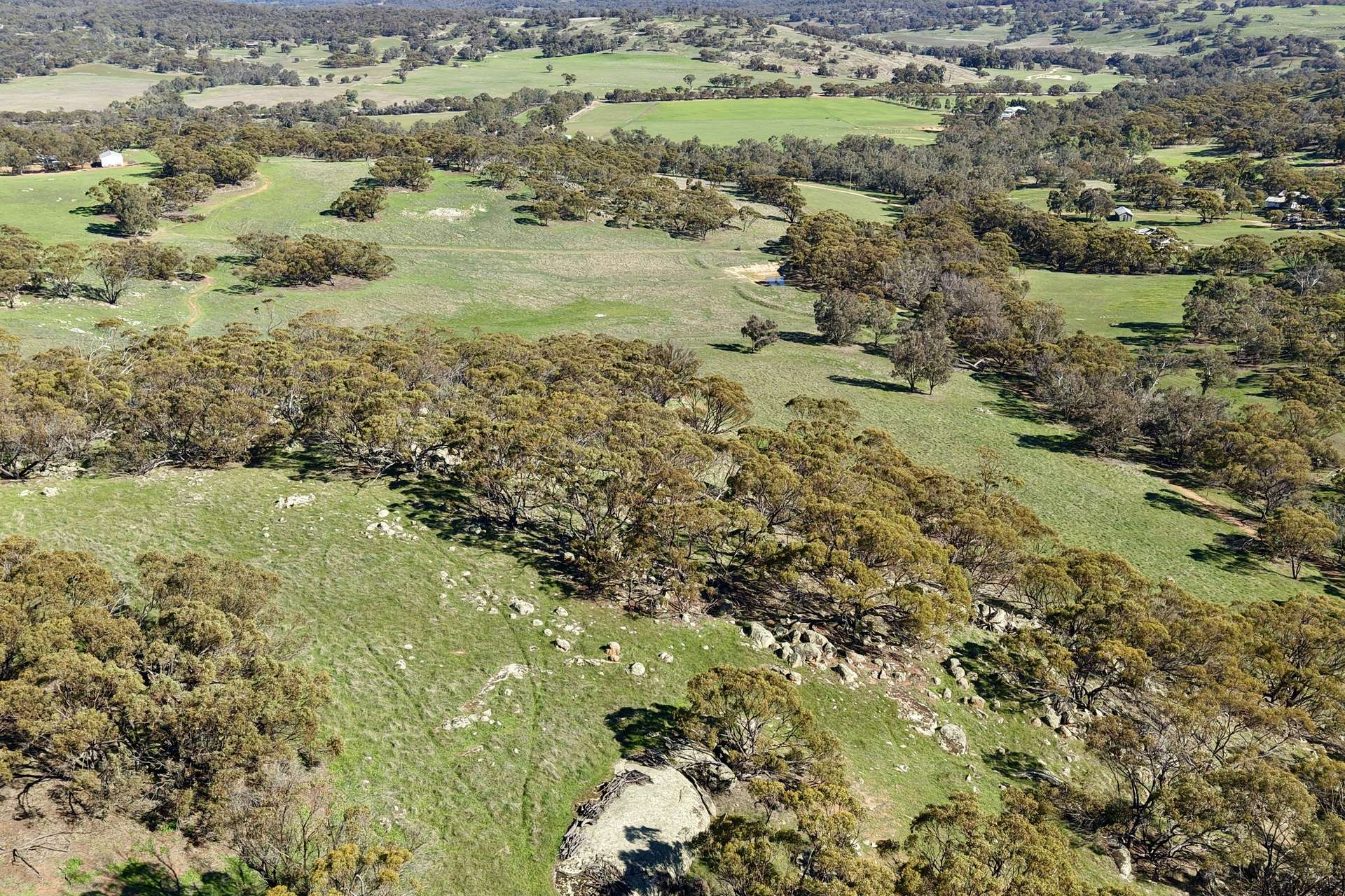 Lot 1,  Old Spencers Road, Mokine For Sale by Farmbuy.com - image 7