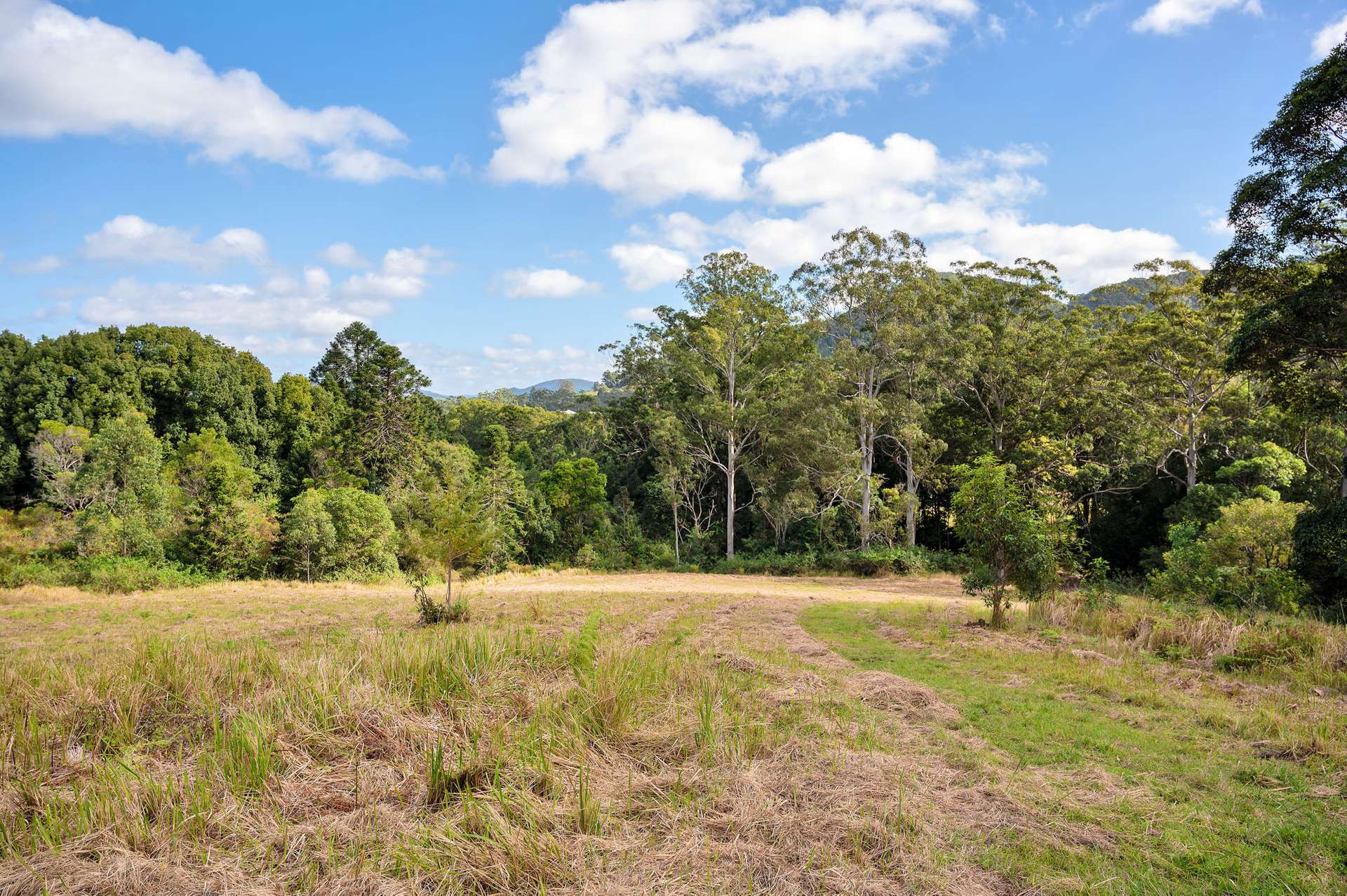112 Pencil Creek Road, Obi Obi For Sale by Farmbuy.com - image 21
