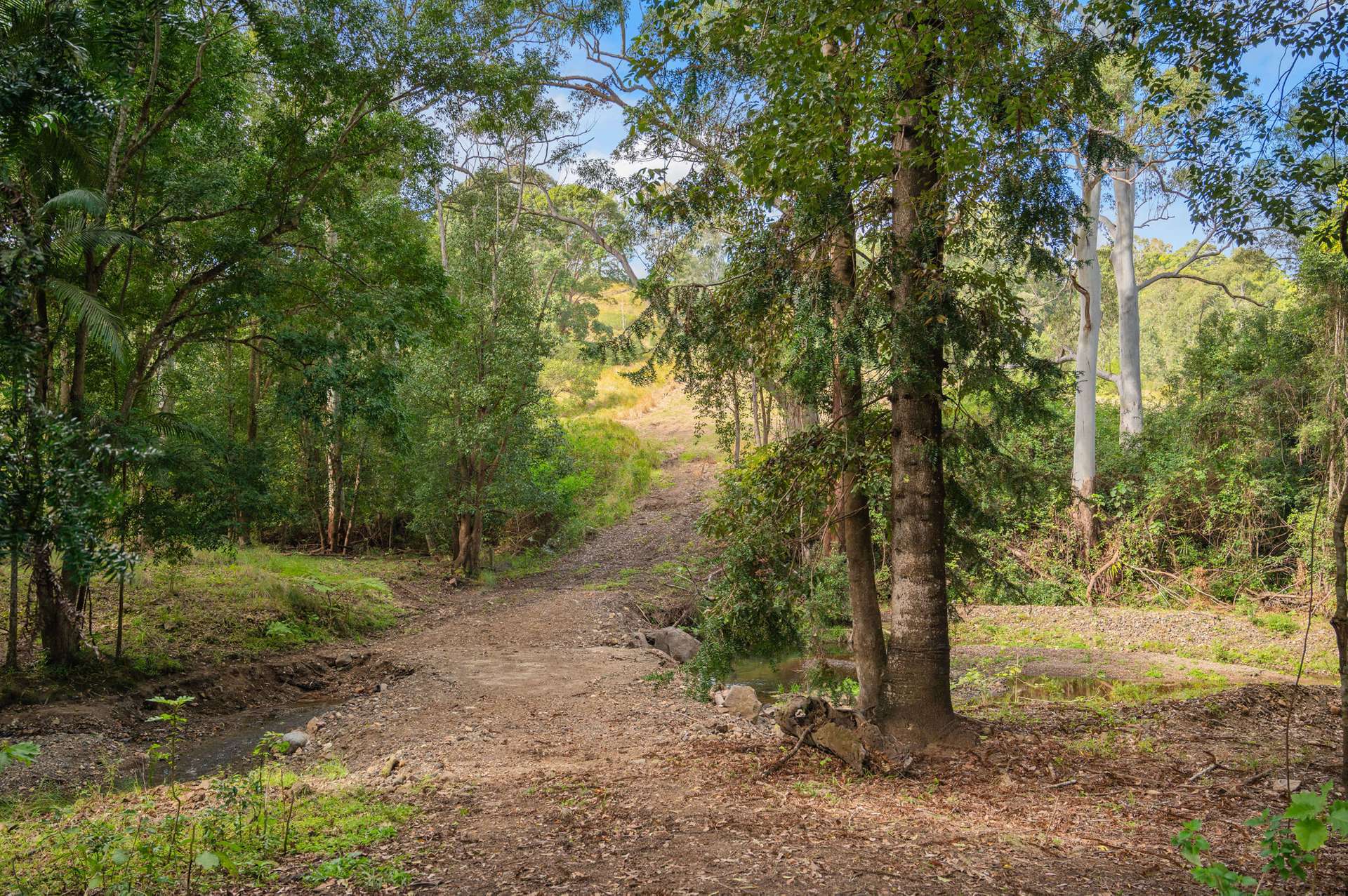 112 Pencil Creek Road, Obi Obi For Sale by Farmbuy.com - image 18