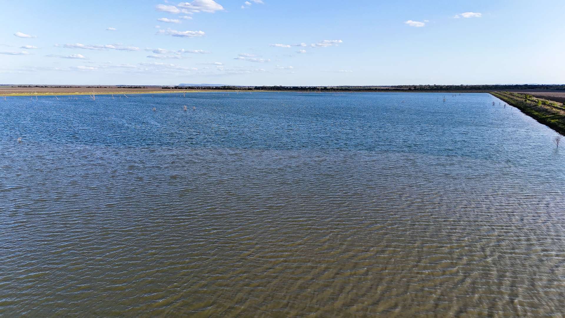 2527 Comet Downs Road, Arcturus For Sale by Farmbuy.com - image 14