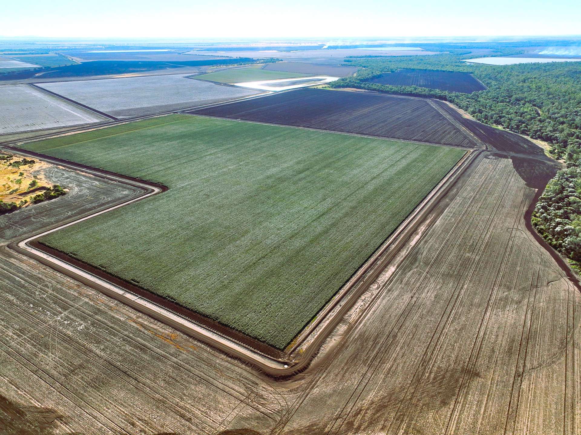 2527 Comet Downs Road, Arcturus For Sale by Farmbuy.com - image 4